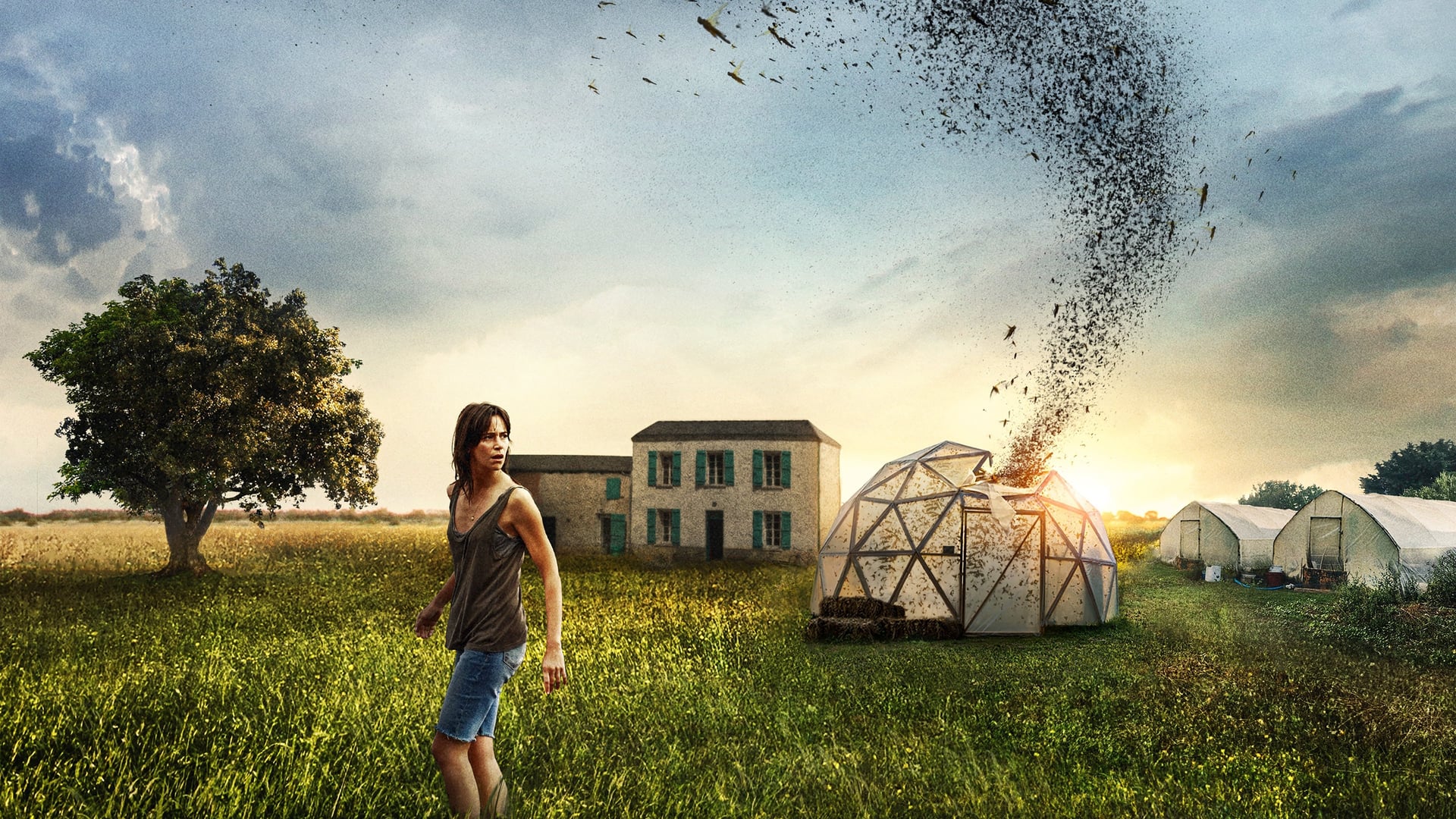 Foto do filme A Nuvem