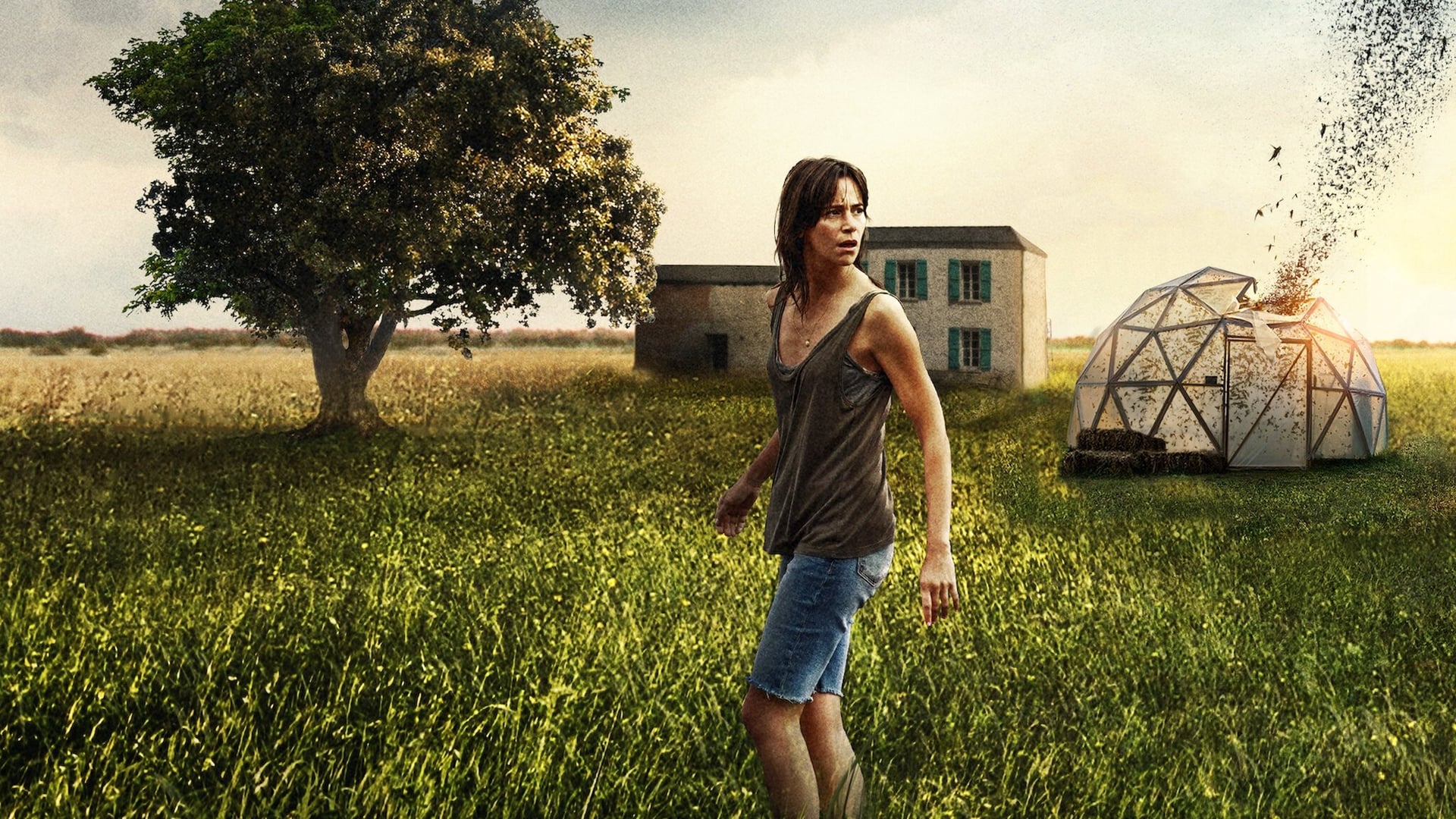 Foto do filme A Nuvem