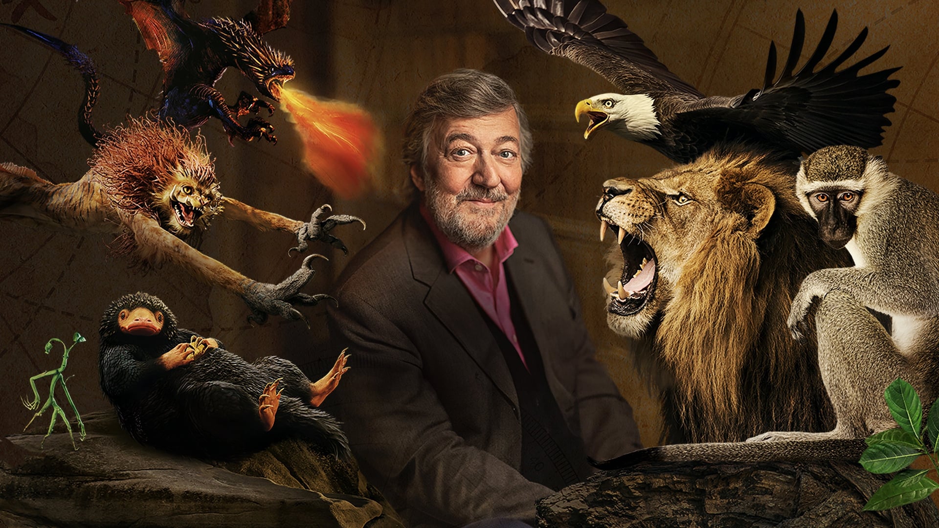 Foto do filme Animais Fantásticos Uma História Natural