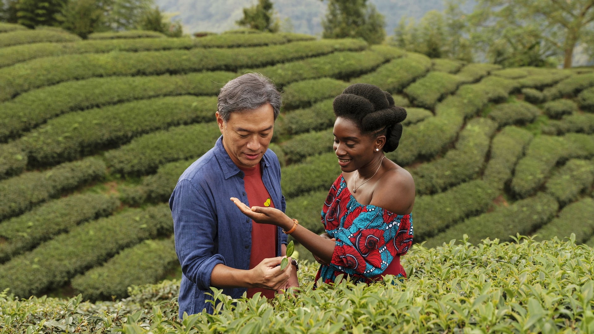 Foto do filme Black Tea - O Aroma do Amor