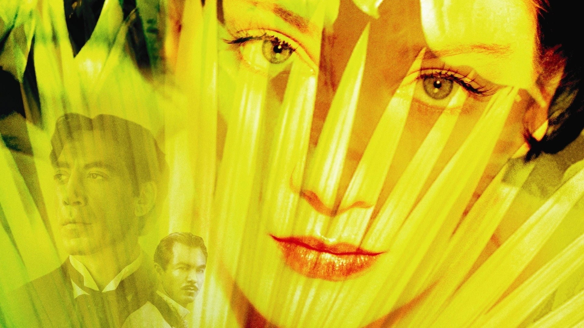 Foto do filme Love in the Time of Cholera