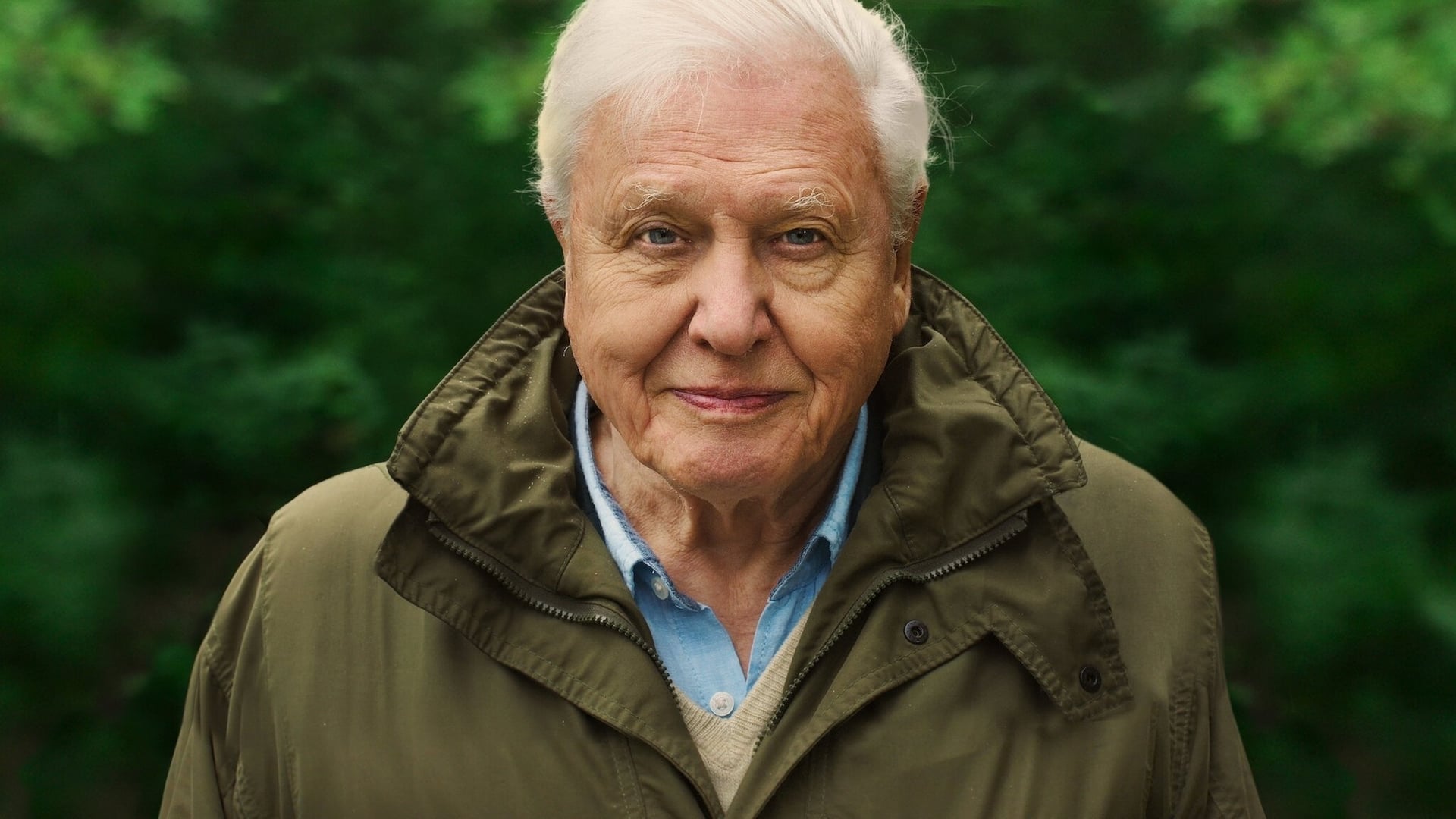 Foto do filme David Attenborough e Nosso Planeta