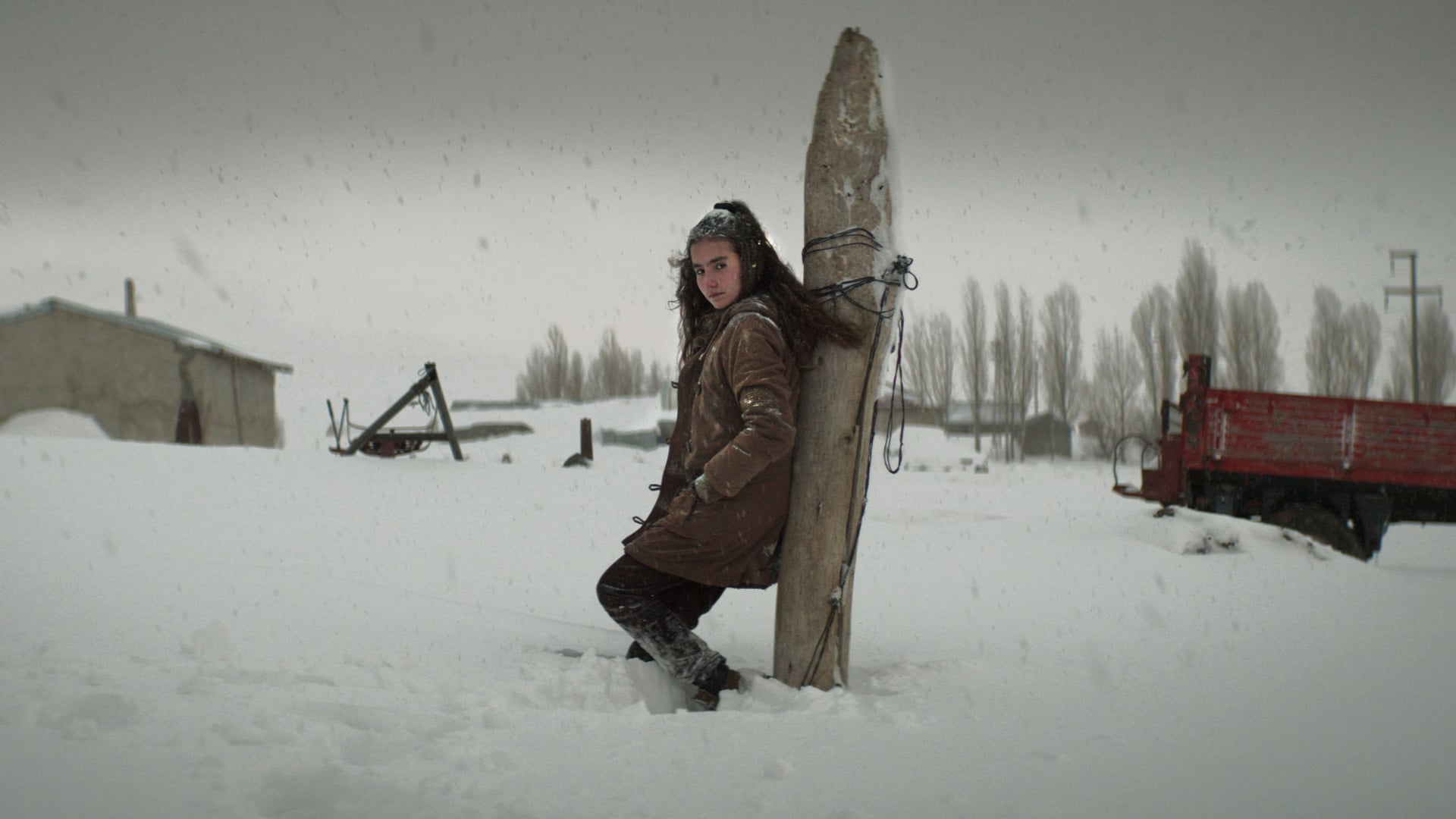 Foto do filme Ervas Secas