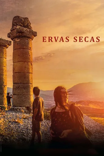 Ervas Secas