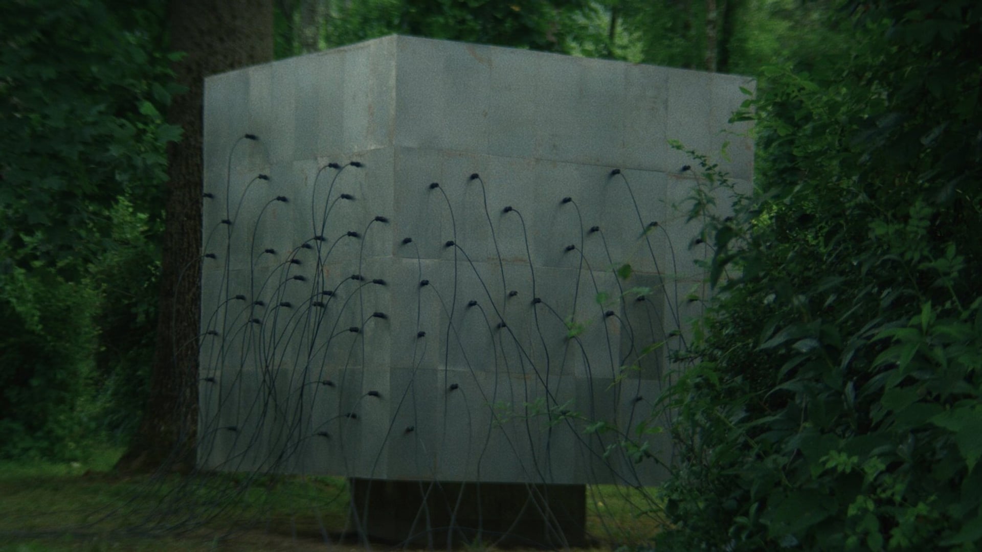 Foto do filme Lapsis