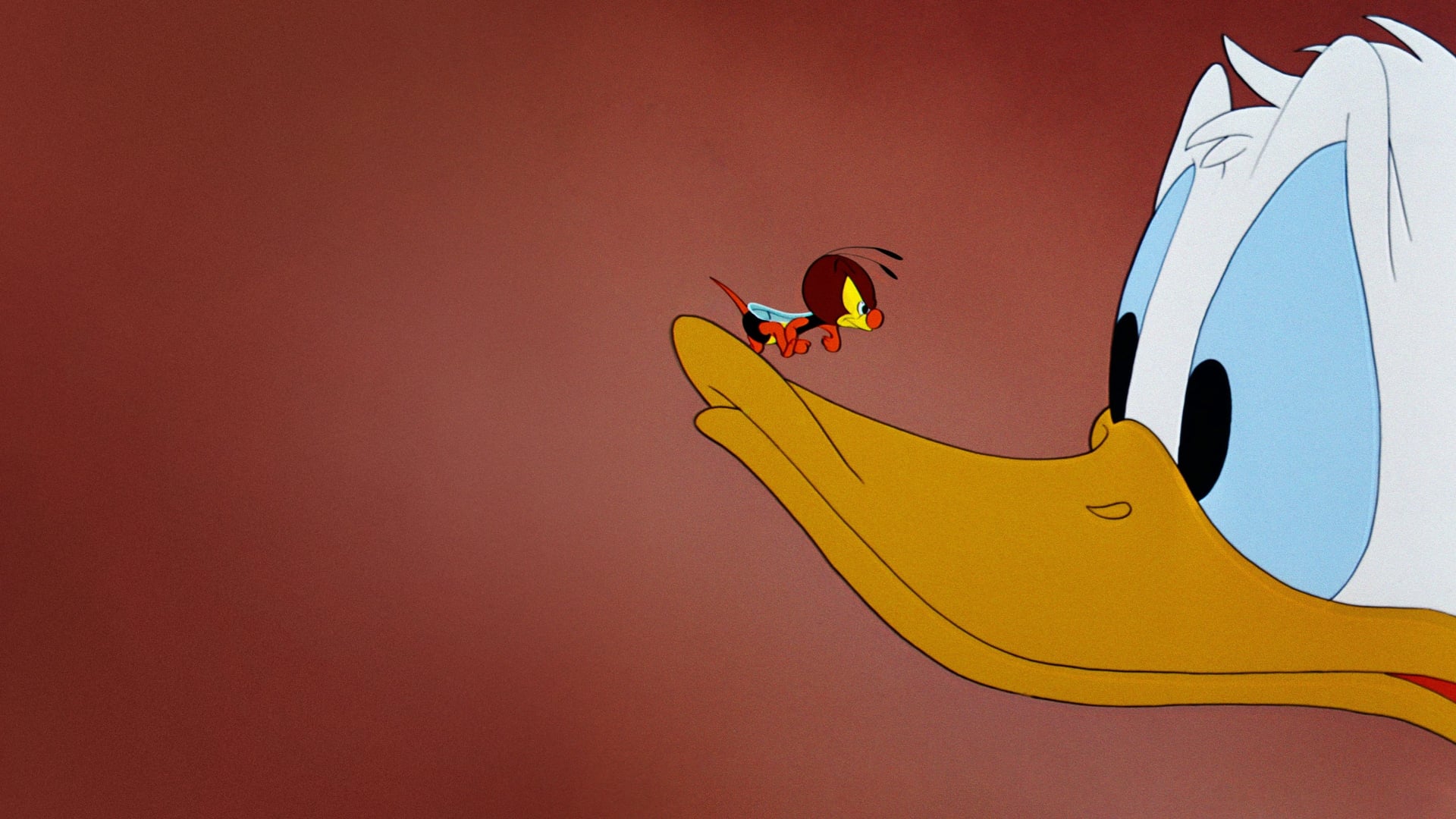 Foto do filme O Decorador