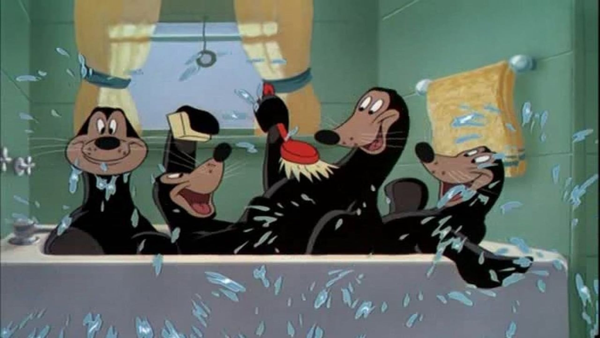 Foto do filme Mickey e a Foca