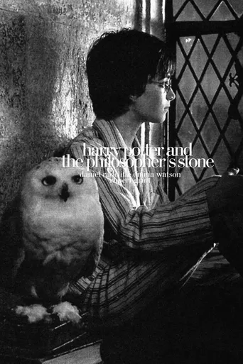 Harry Potter e a Pedra Filosofal