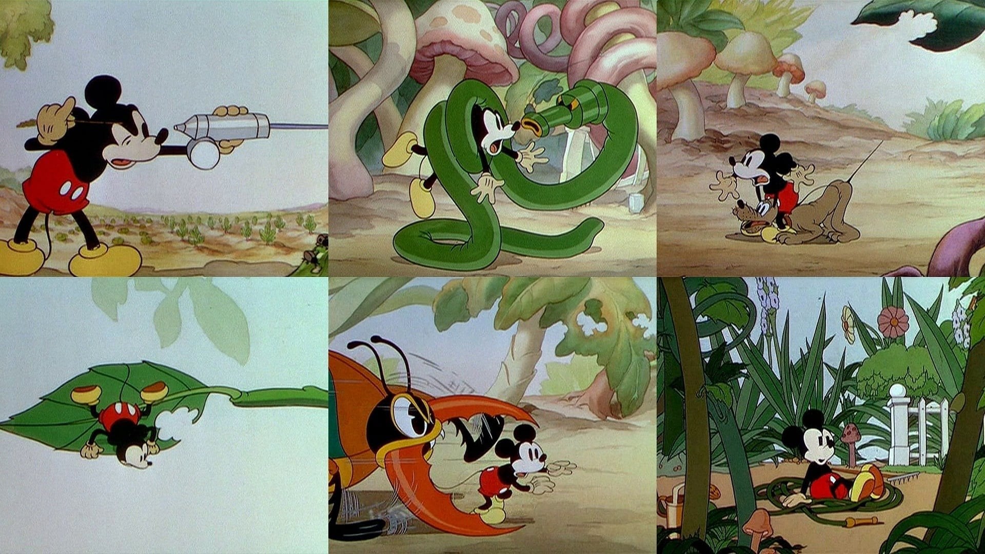 Foto do filme O Jardim do Mickey