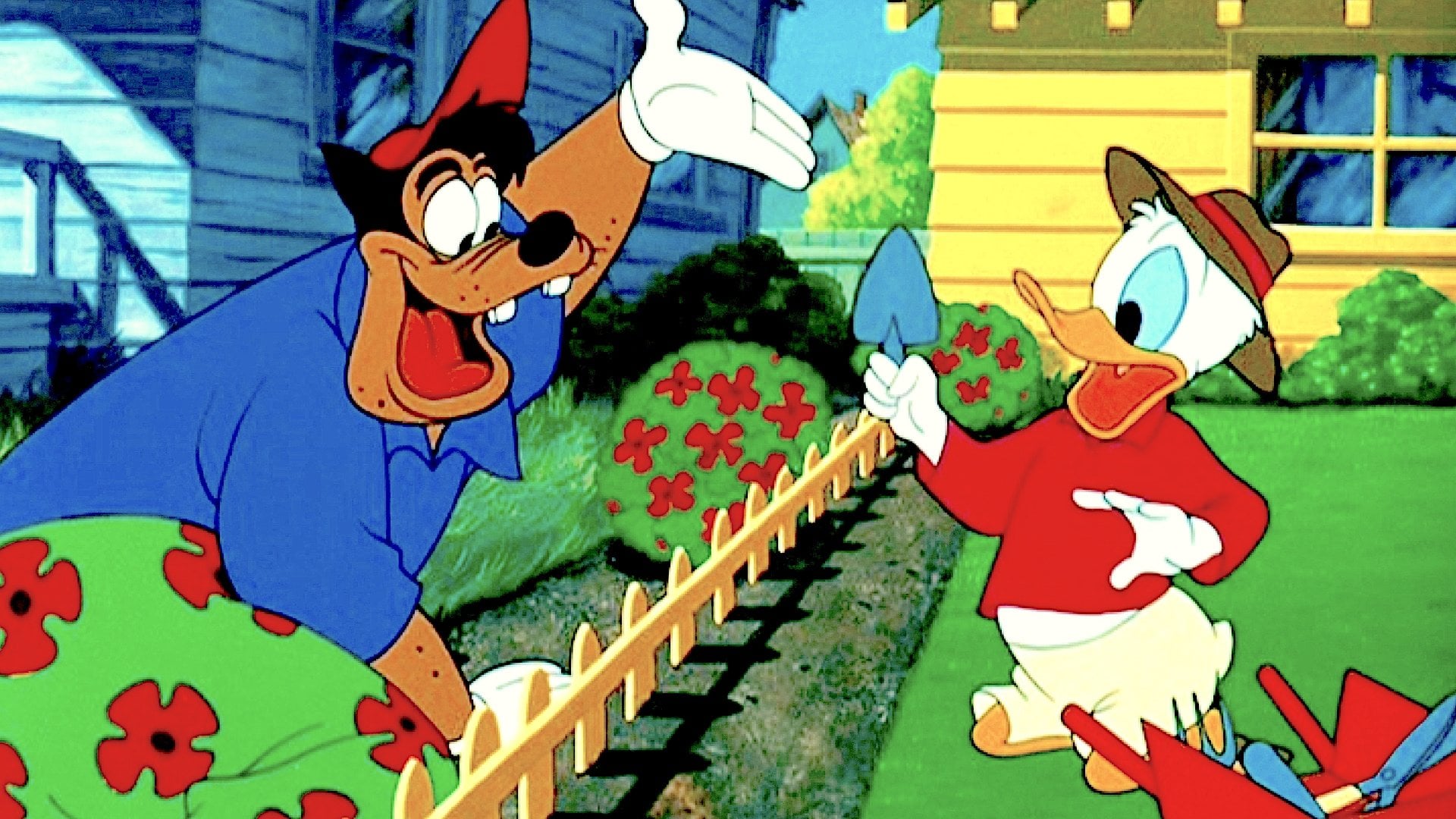 Foto do filme O Novo Vizinho