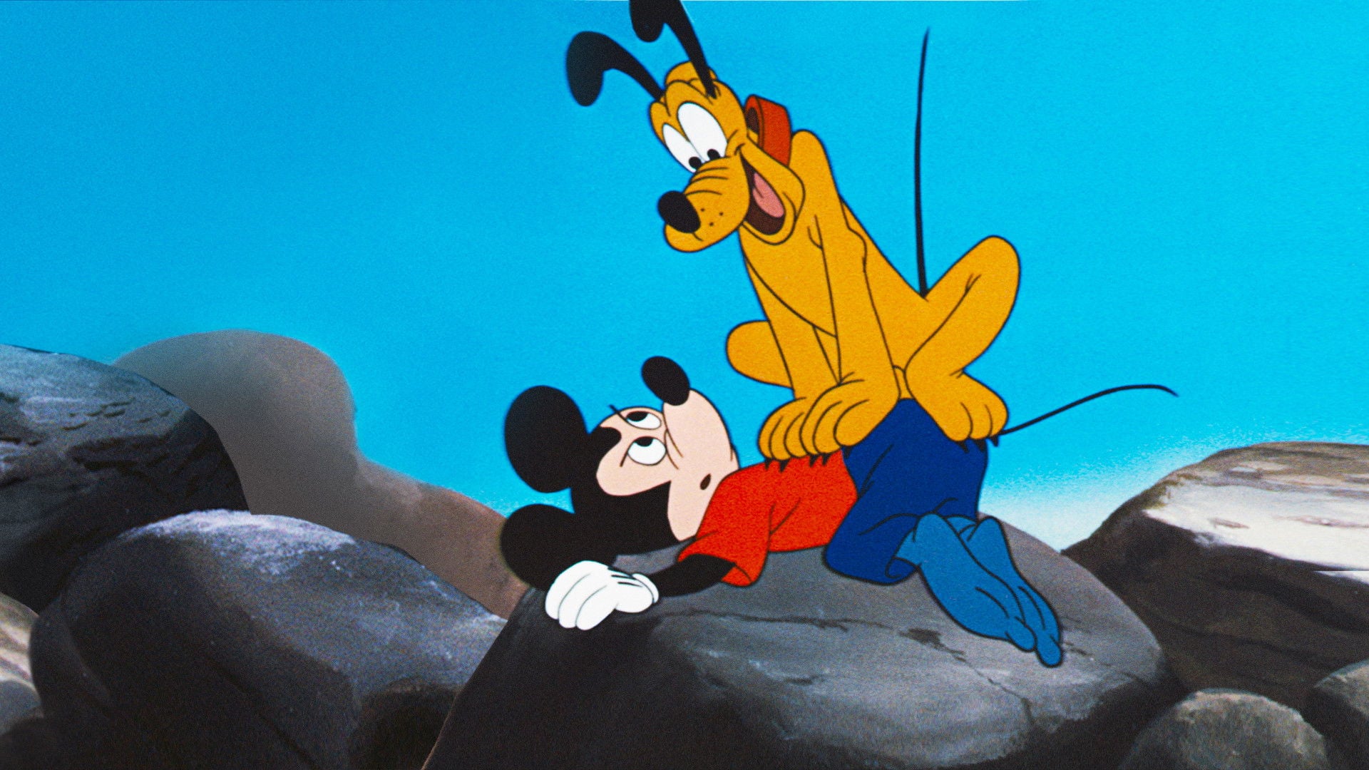 Foto do filme Pluto e a Gaivota