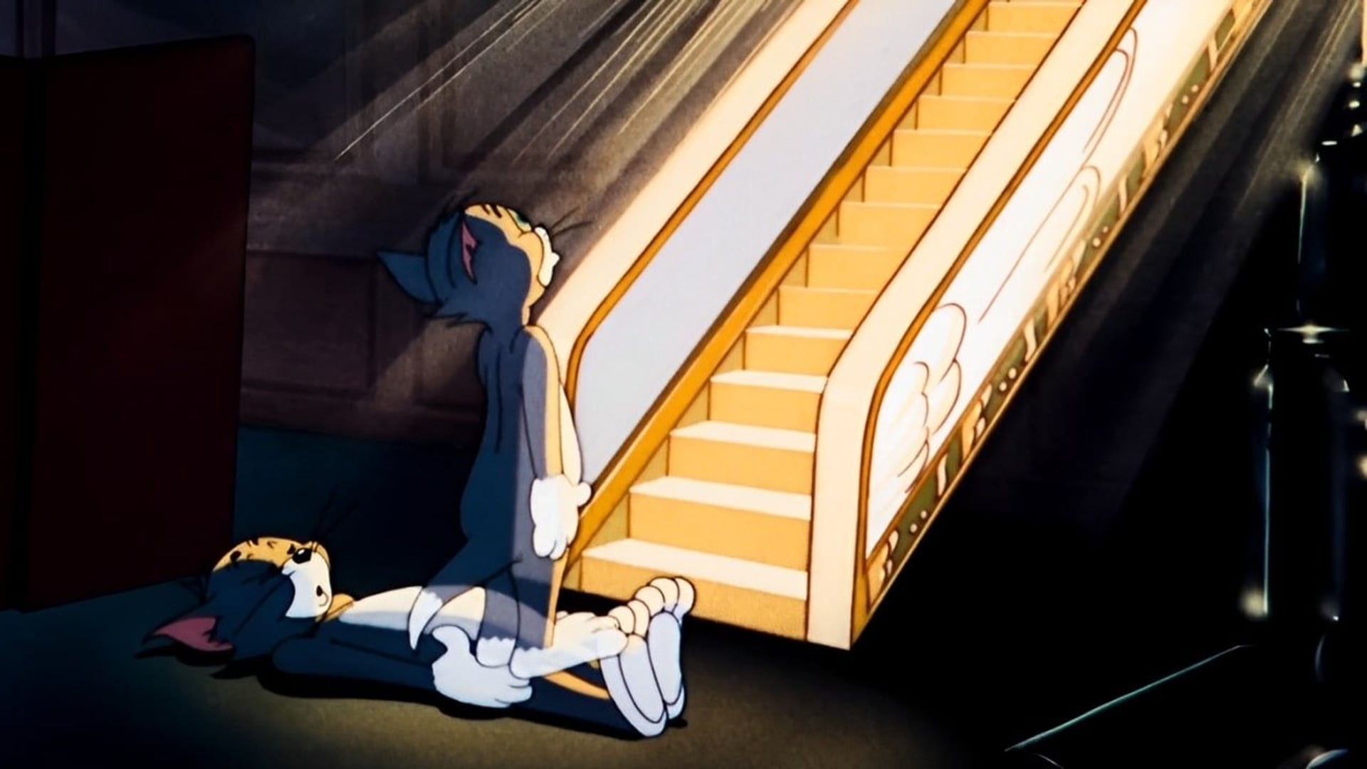 Foto do filme Gatinho Celestial