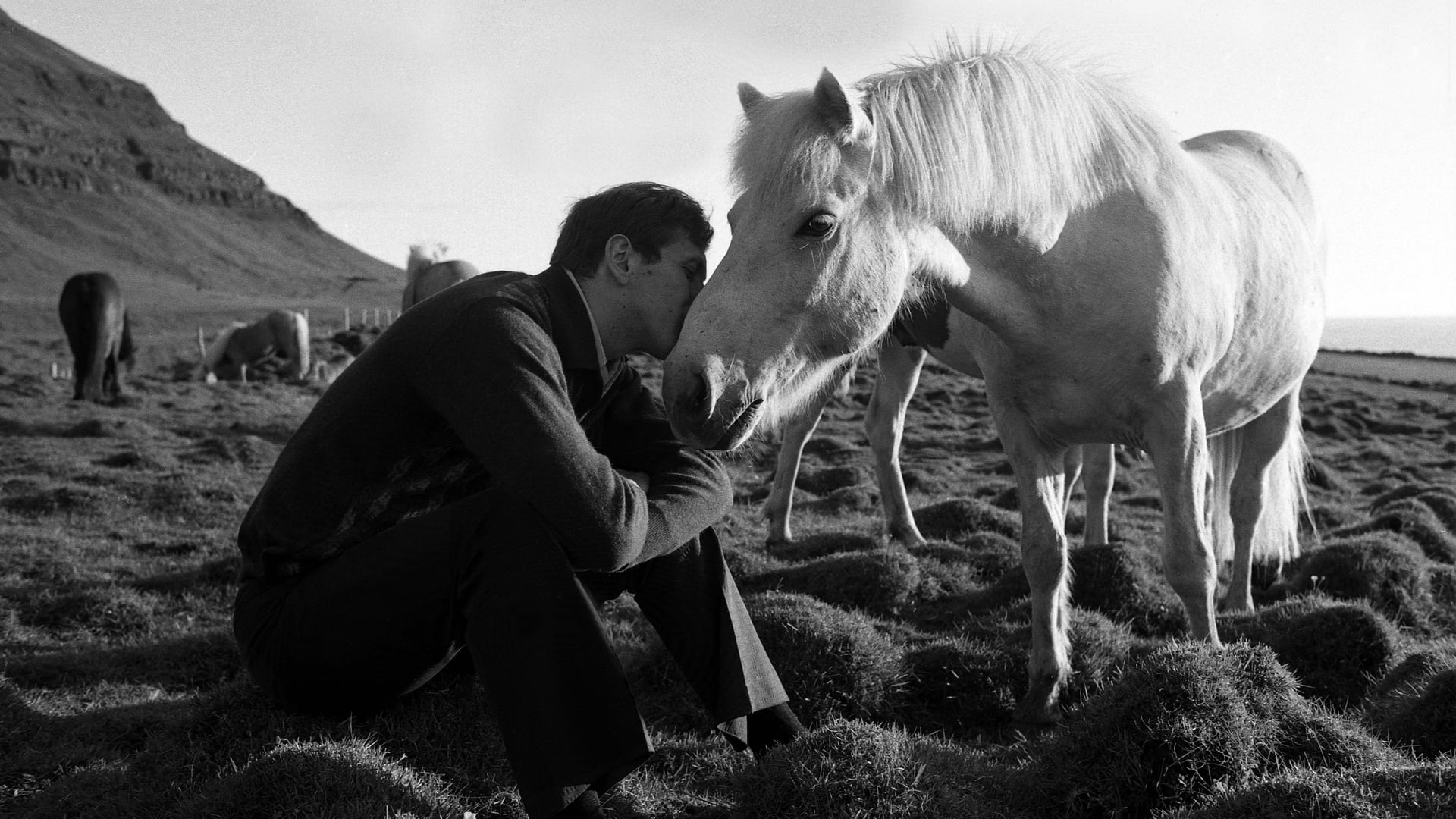 Foto do filme Bobby Fischer Against the World