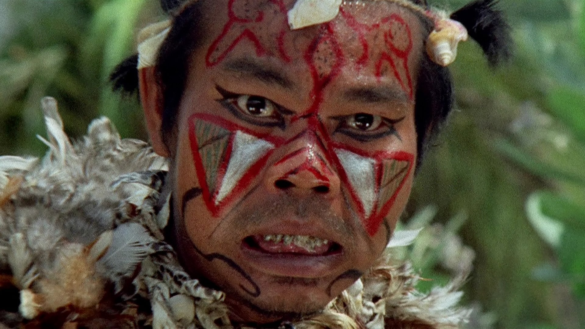 Foto do filme Il paese del sesso selvaggio