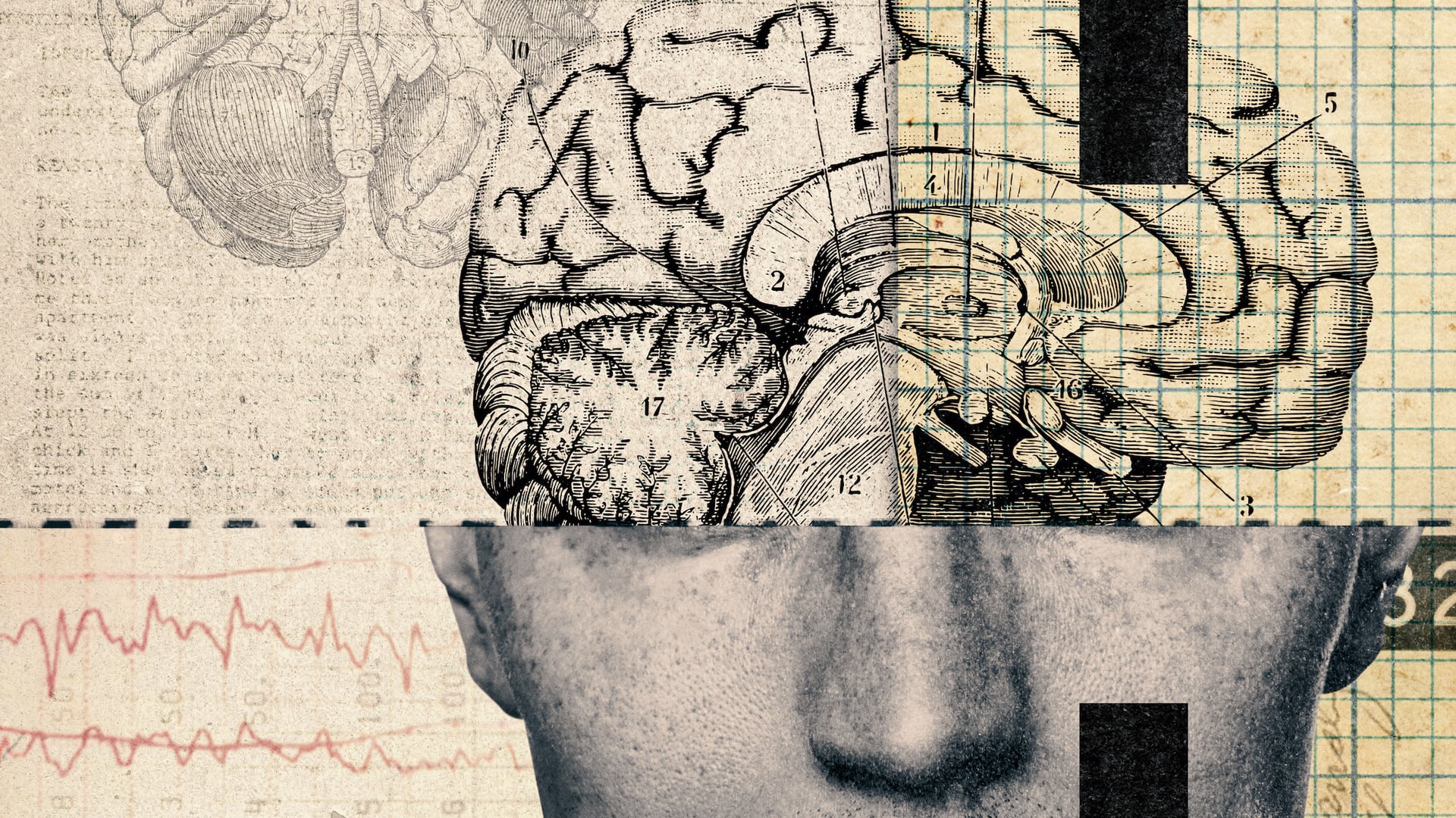 Foto do filme Louco Não, Doido