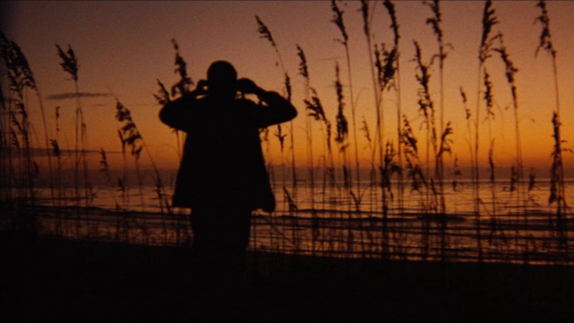 Foto do filme Filhas do Pó