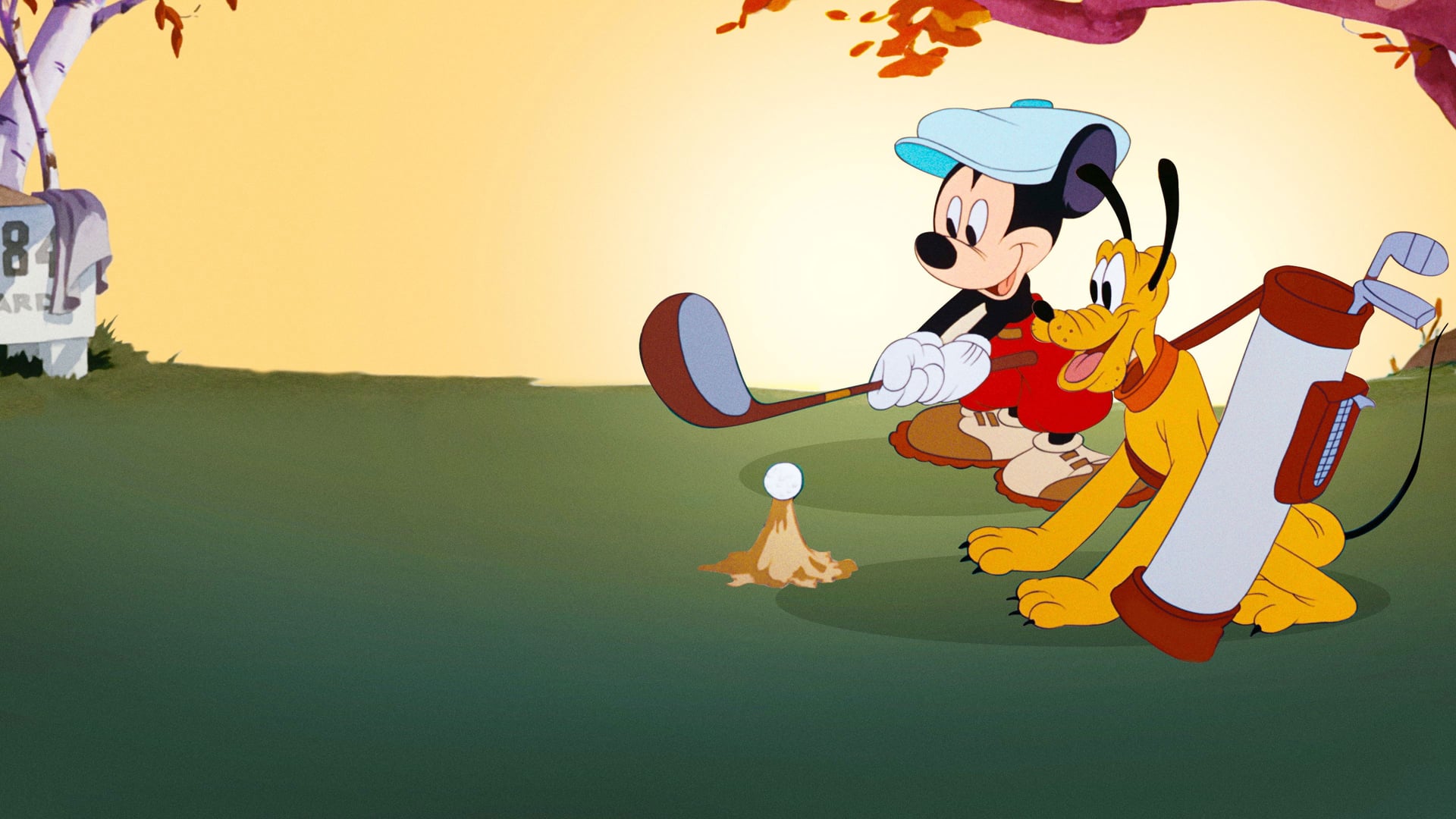 Foto do filme Mickey e Pluto no Campo de Golfe