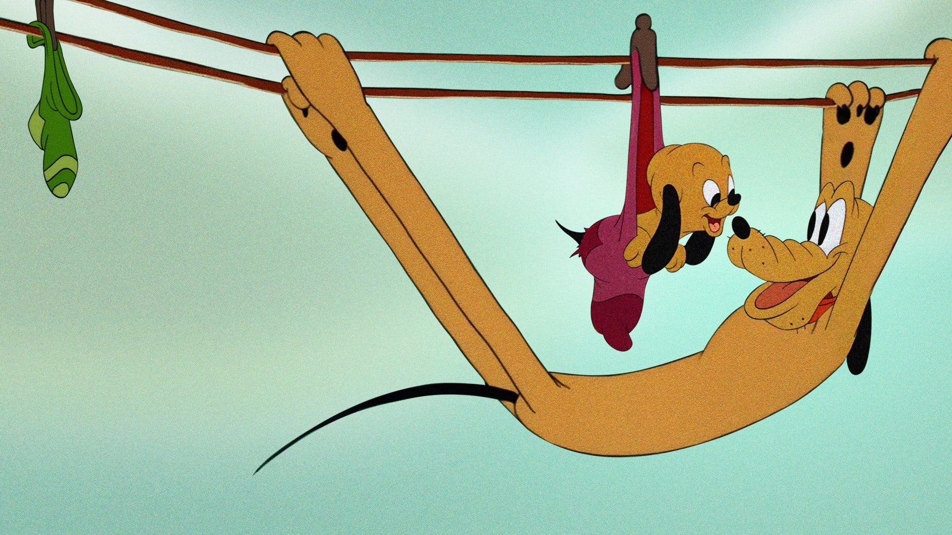 Foto do filme Cachorrinho & Cachorradas