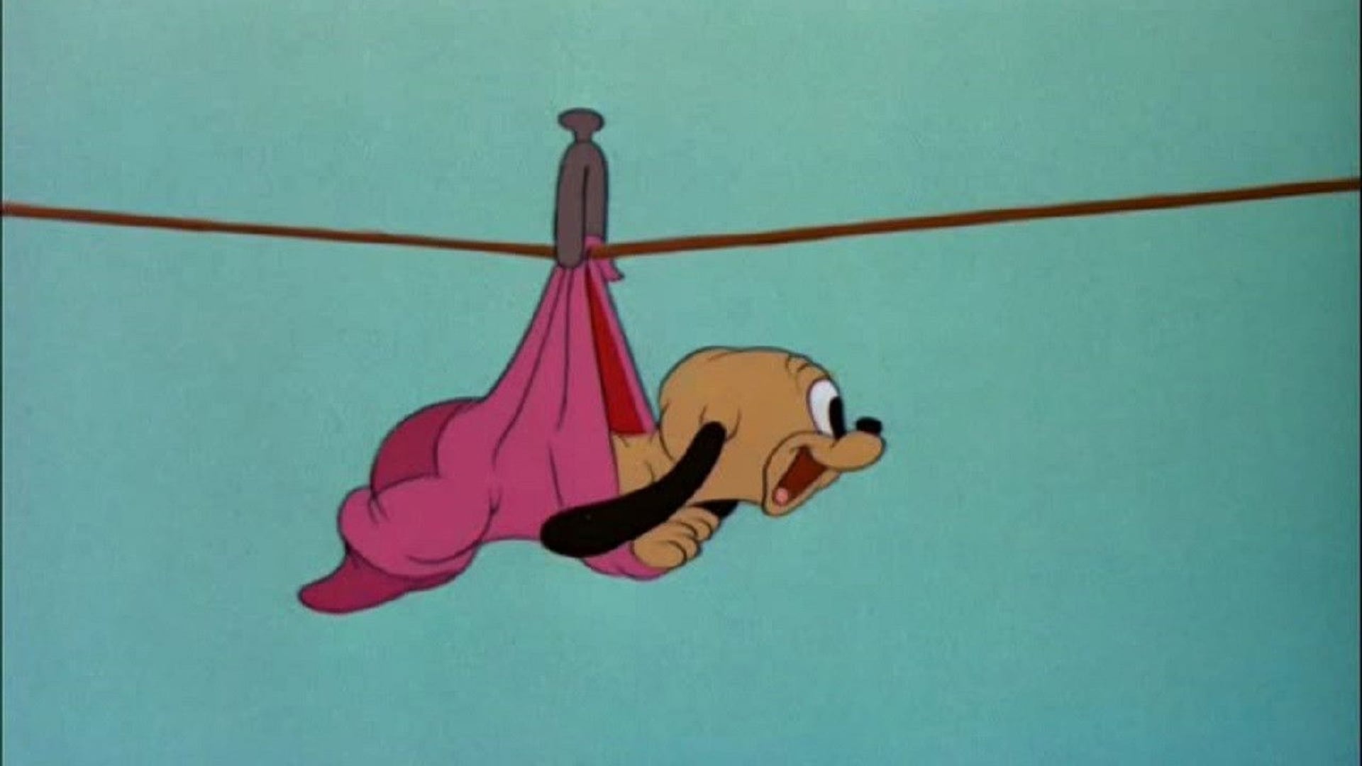 Foto do filme Cachorrinho & Cachorradas