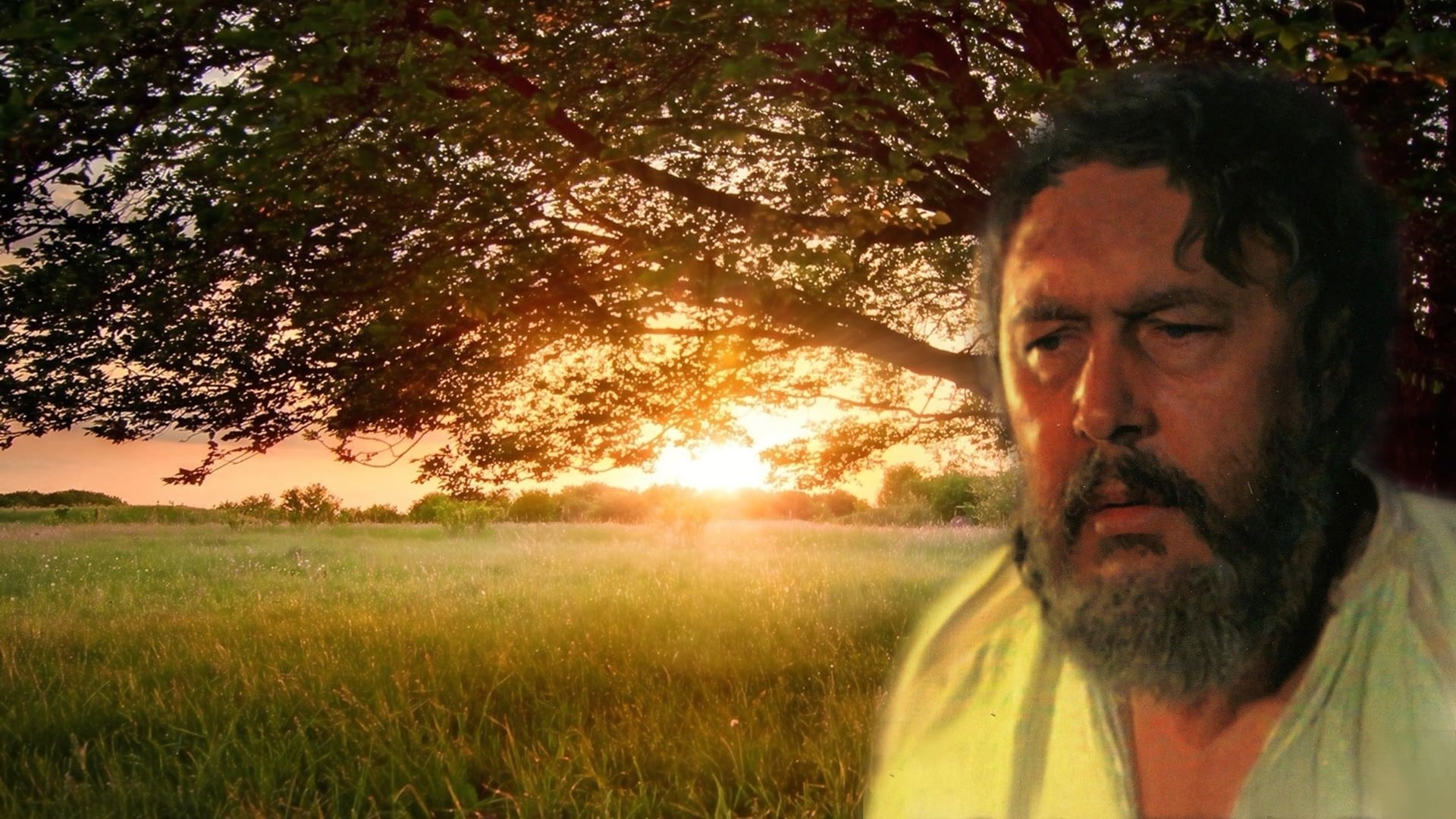 Foto do filme Znachor