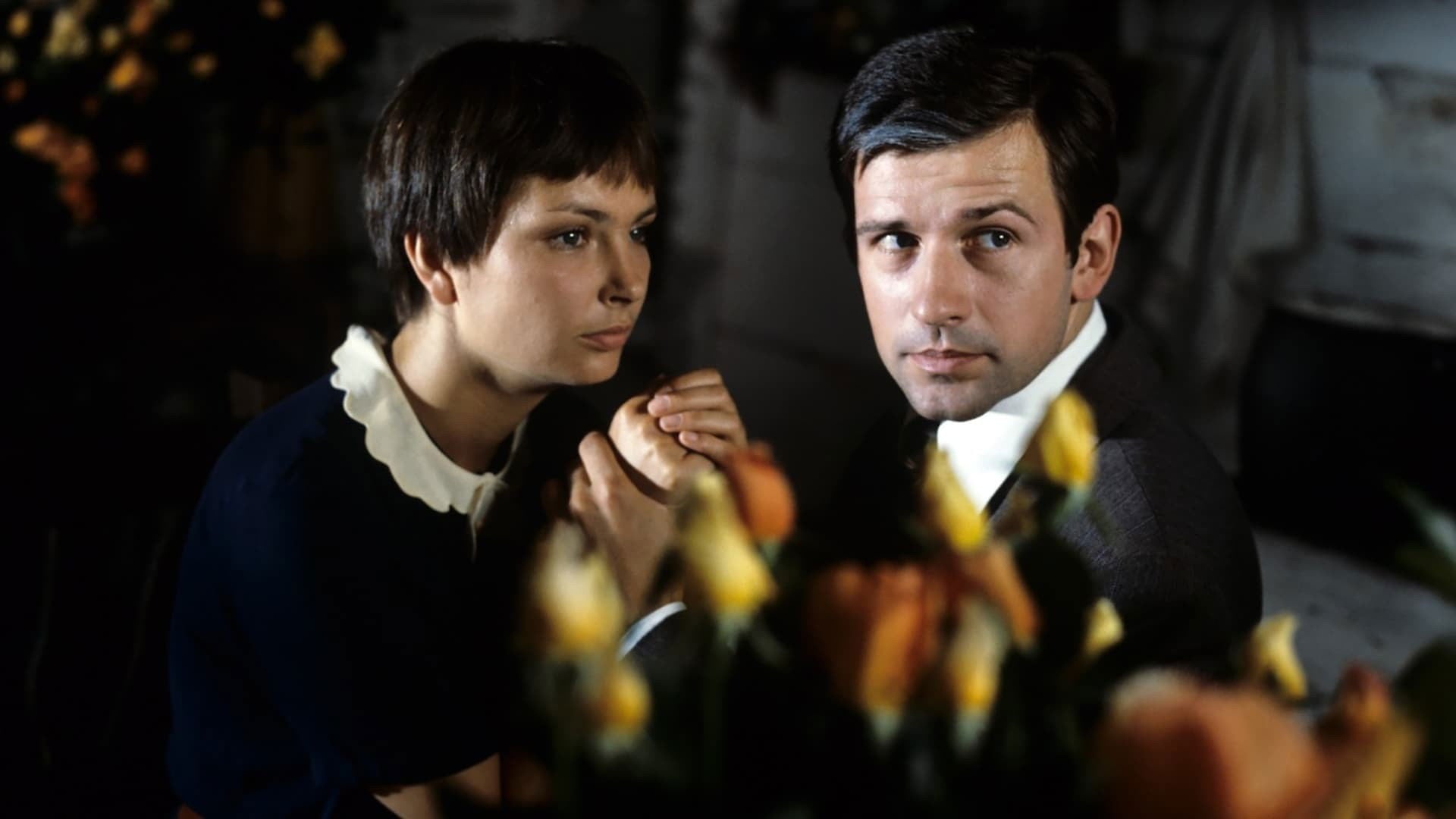 Foto do filme Znachor