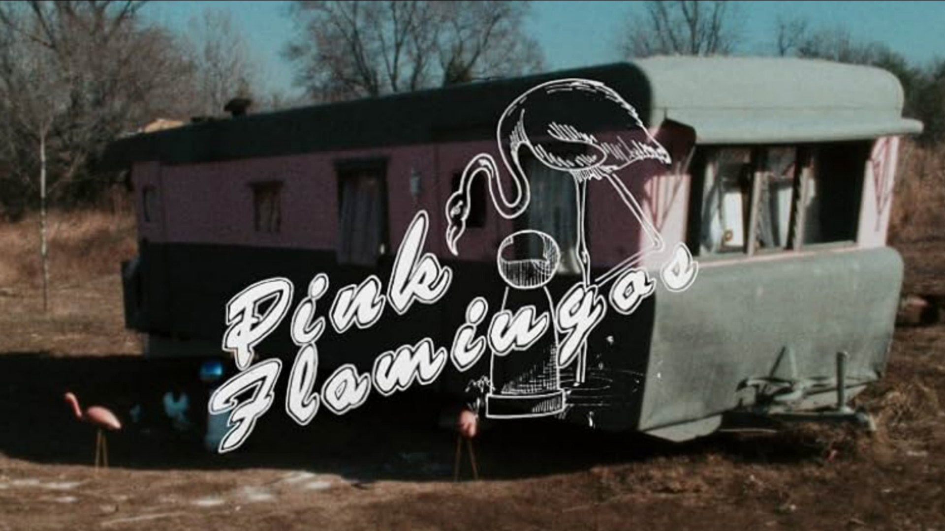 Foto do filme Pink Flamingos