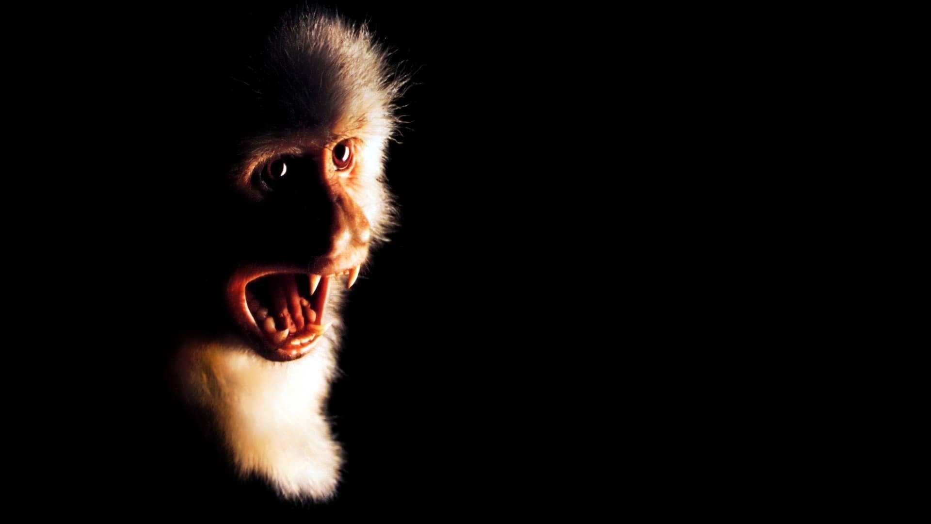 Foto do filme Epidemia