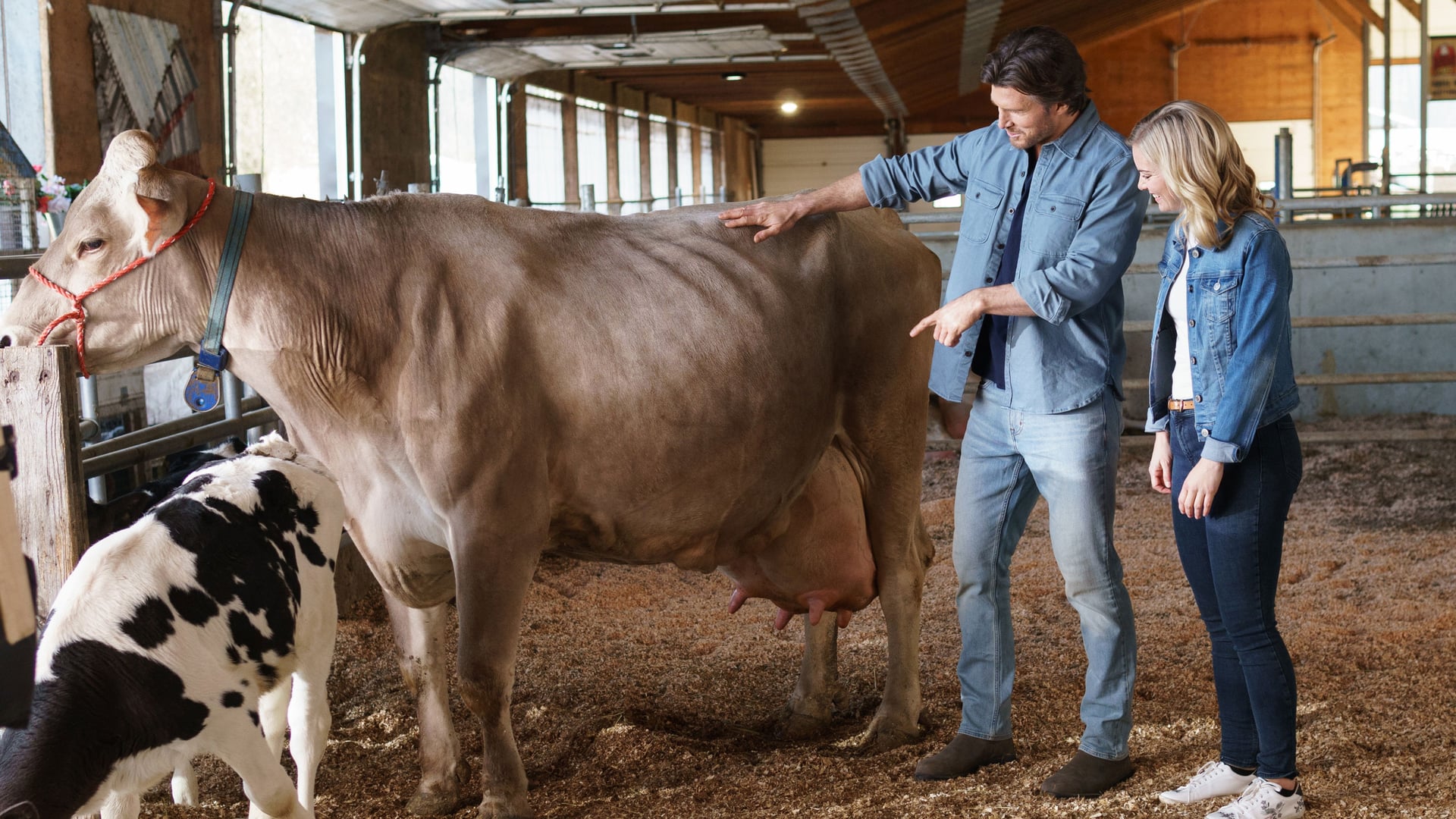 Foto do filme Love in the Forecast