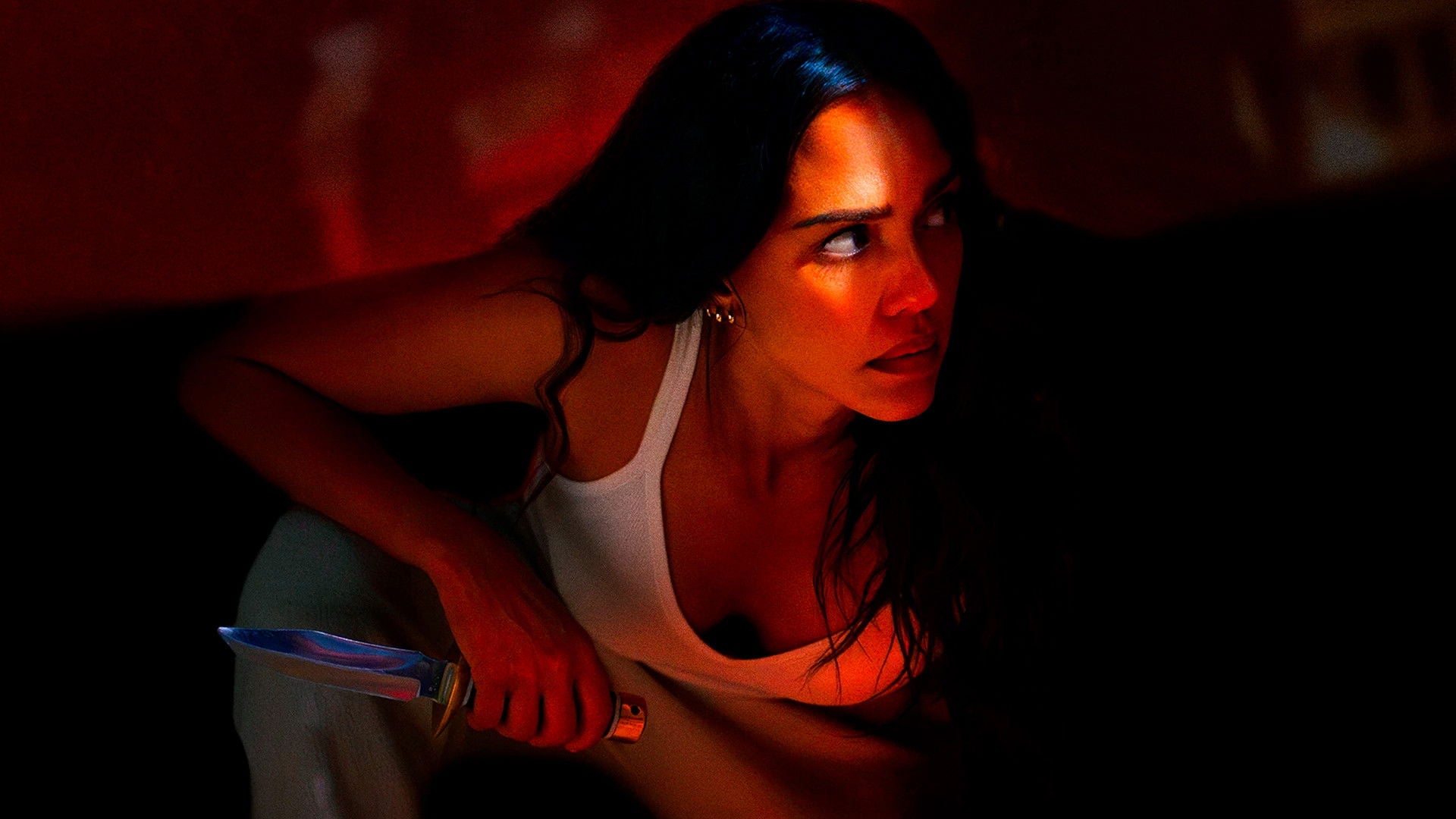 Foto do filme Alerta de Risco