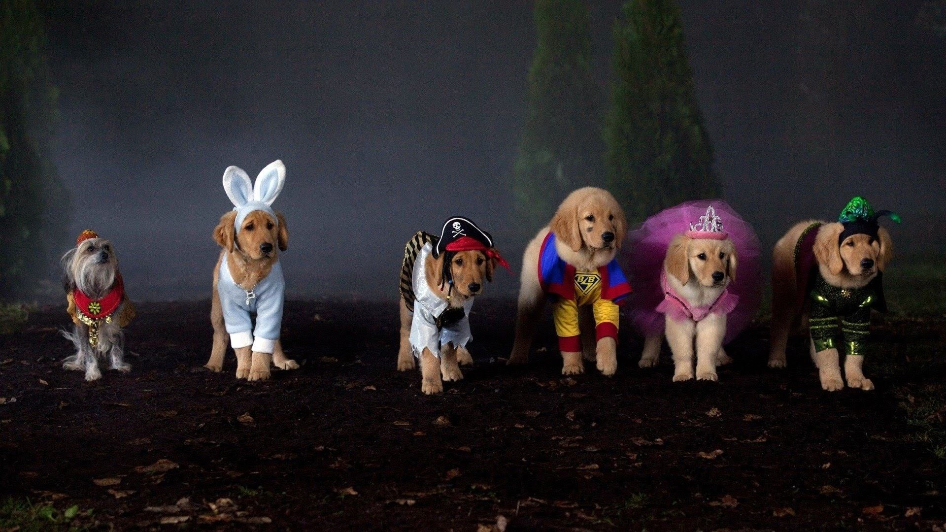 Foto do filme Spooky Buddies: A Casa Mal-Assombrada