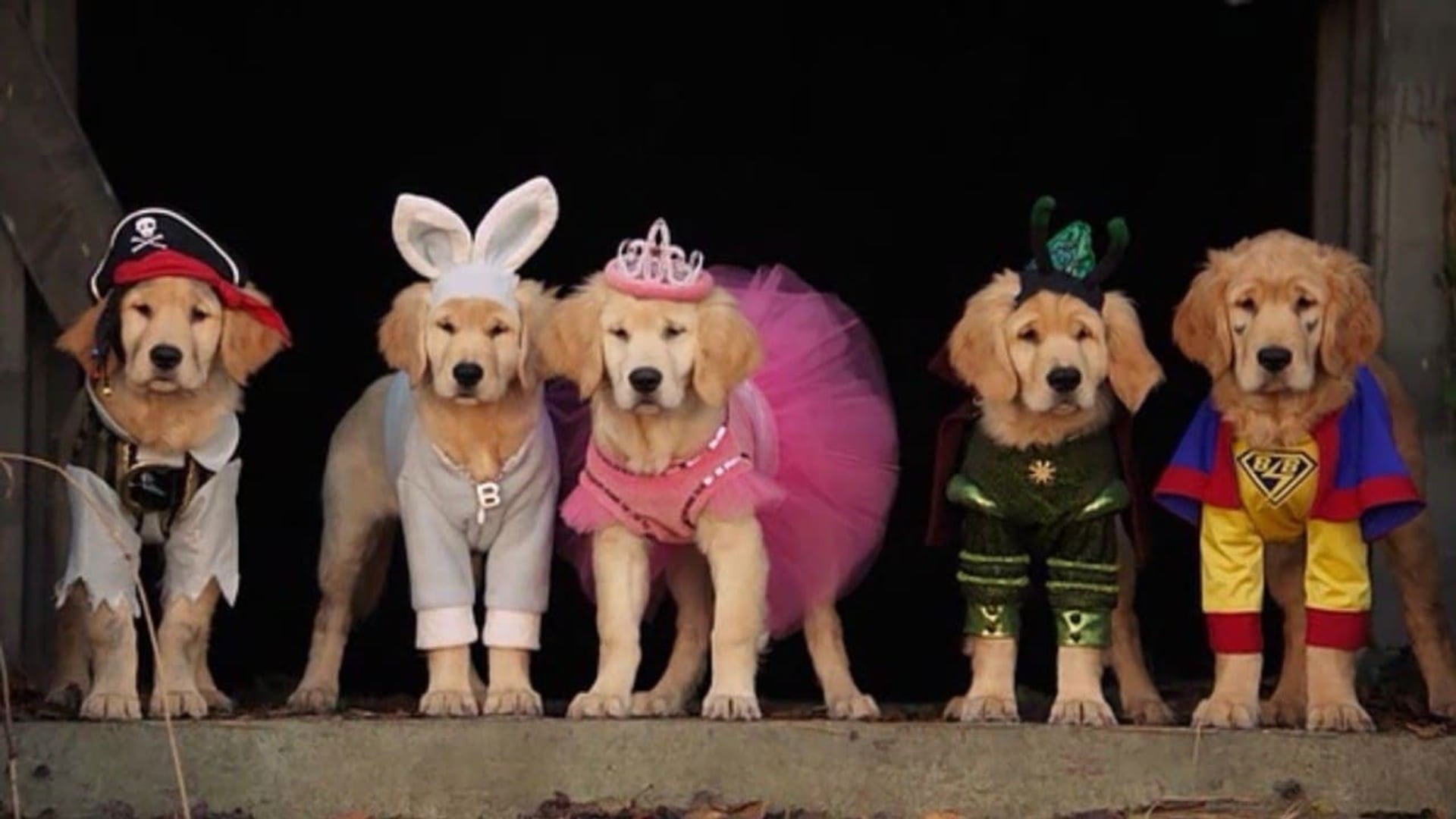 Foto do filme Spooky Buddies: A Casa Mal-Assombrada