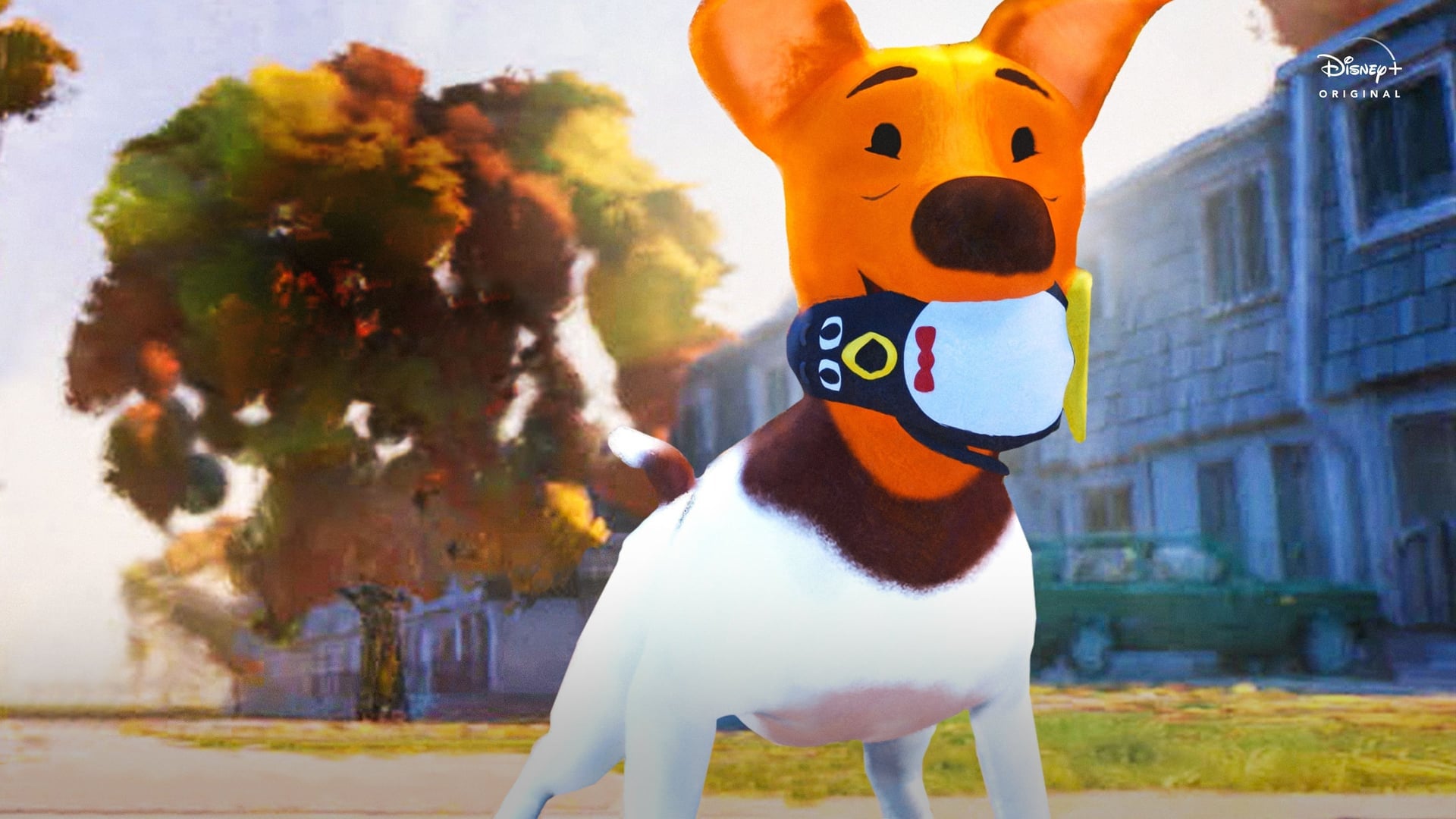 Foto do filme Segredos Mágicos