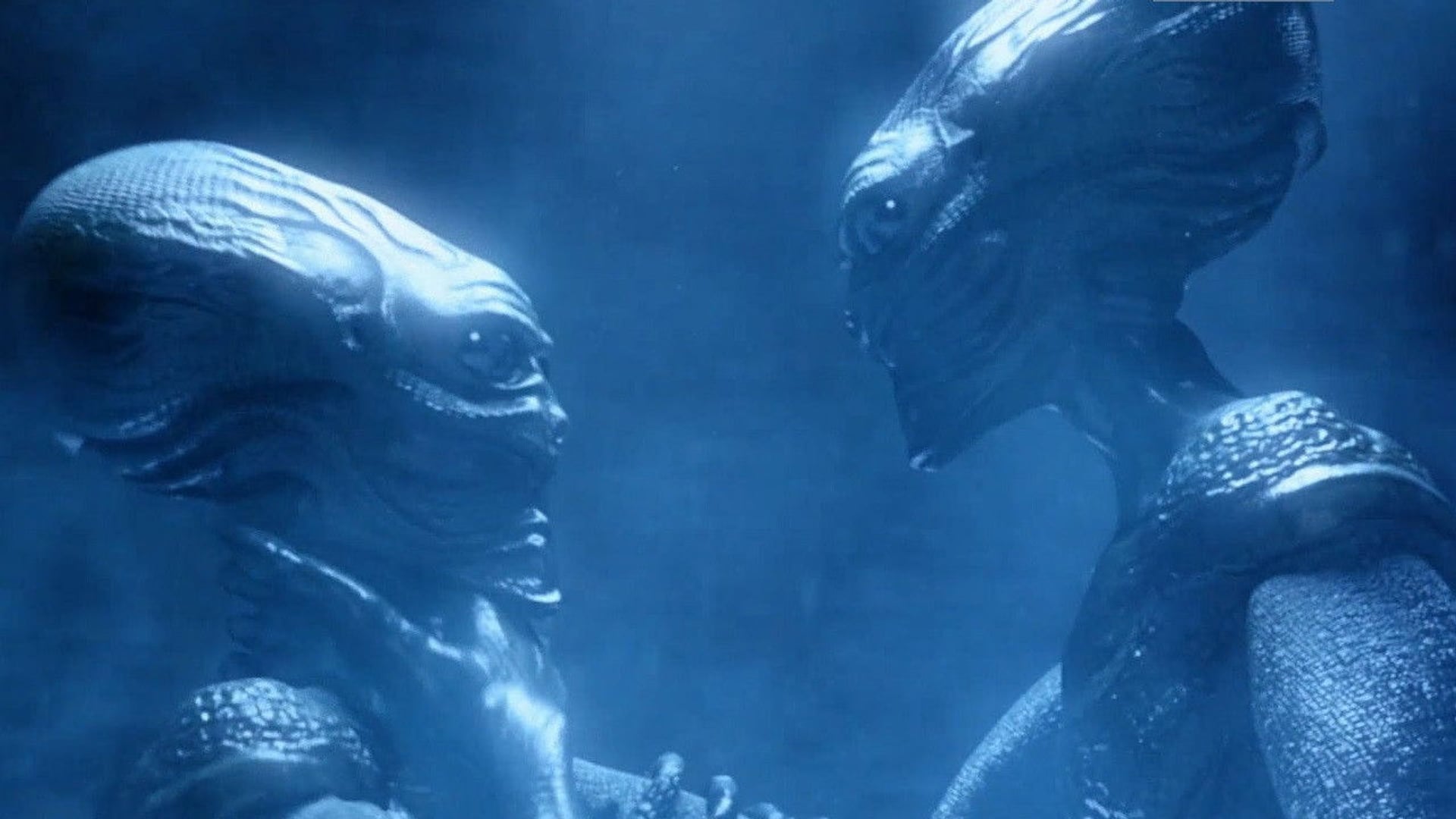 Foto do filme La última fase