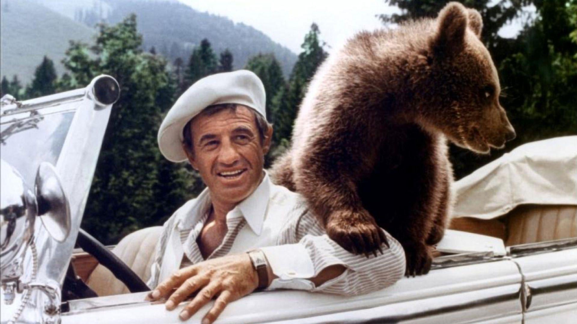 Foto do filme O Ás dos Ases