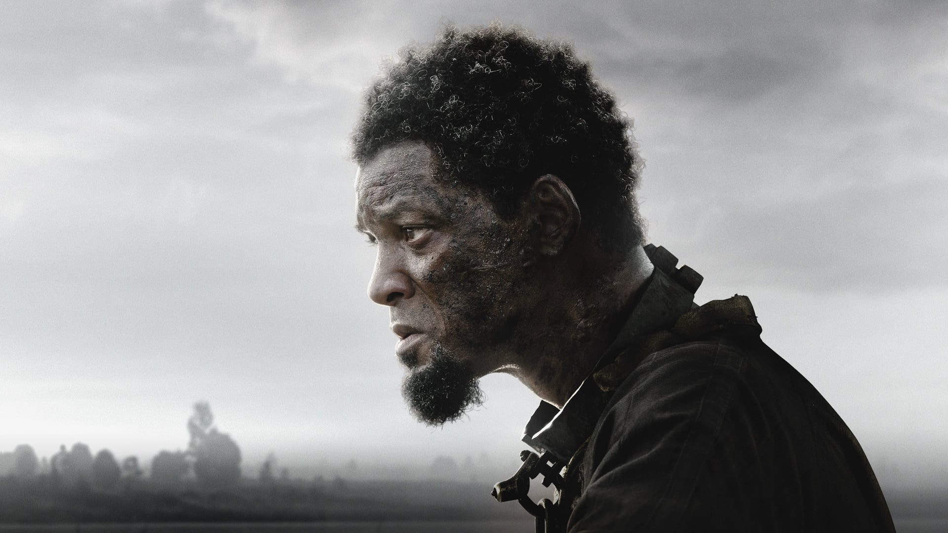 Foto do filme Emancipation - Uma História de Liberdade