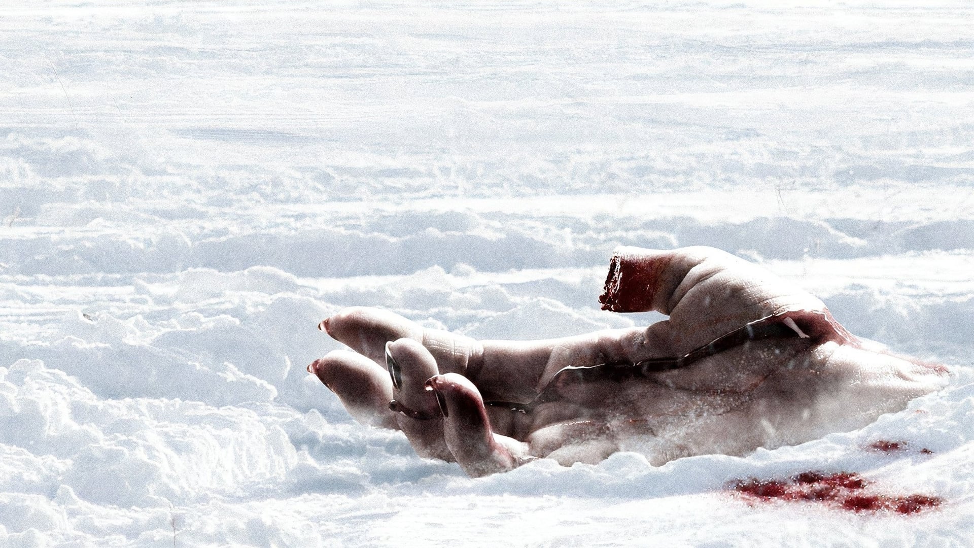 Foto do filme Pânico na Floresta 4: Origens Sangrentas