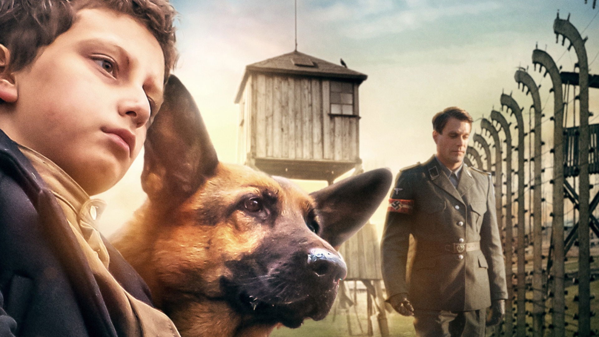 Foto do filme Kaleb - O Cão Herói