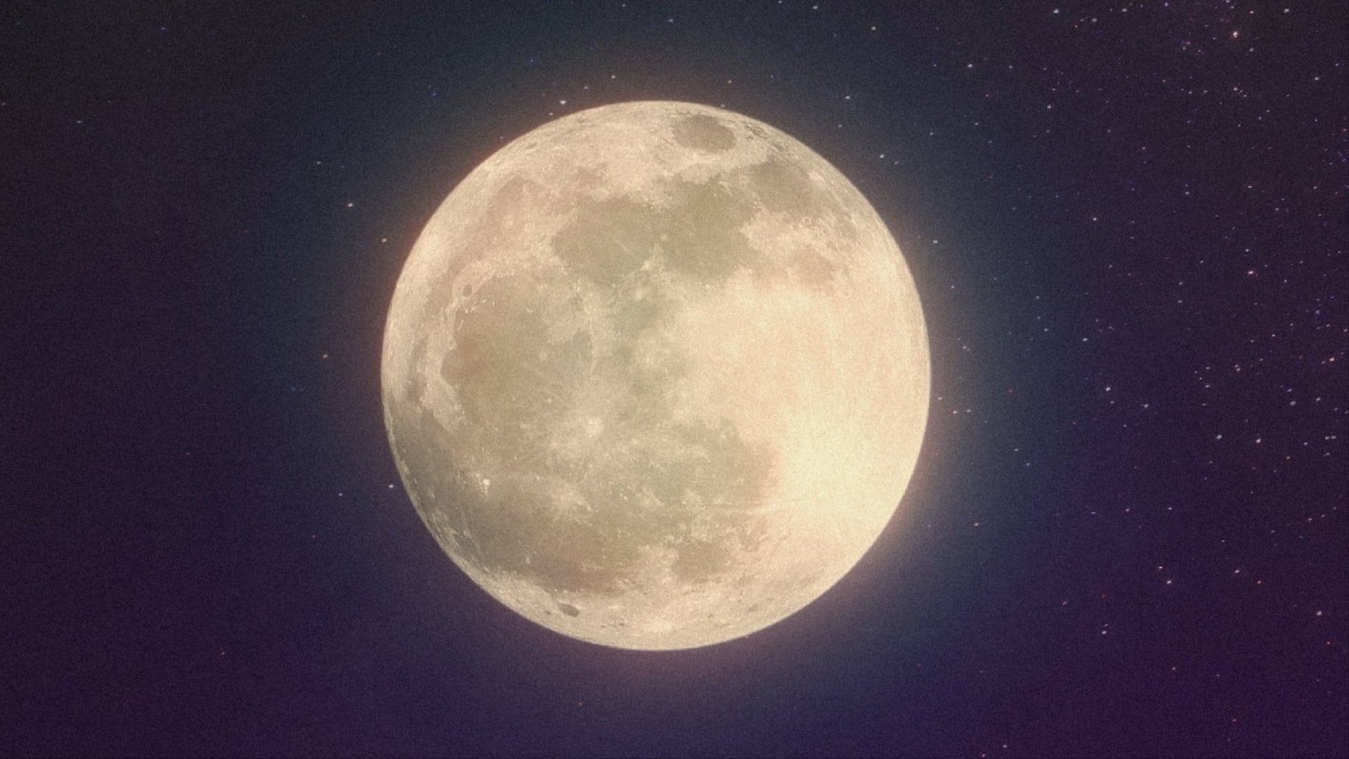 Foto do filme Miraculous World: Xangai, a Lenda de Ladydragon