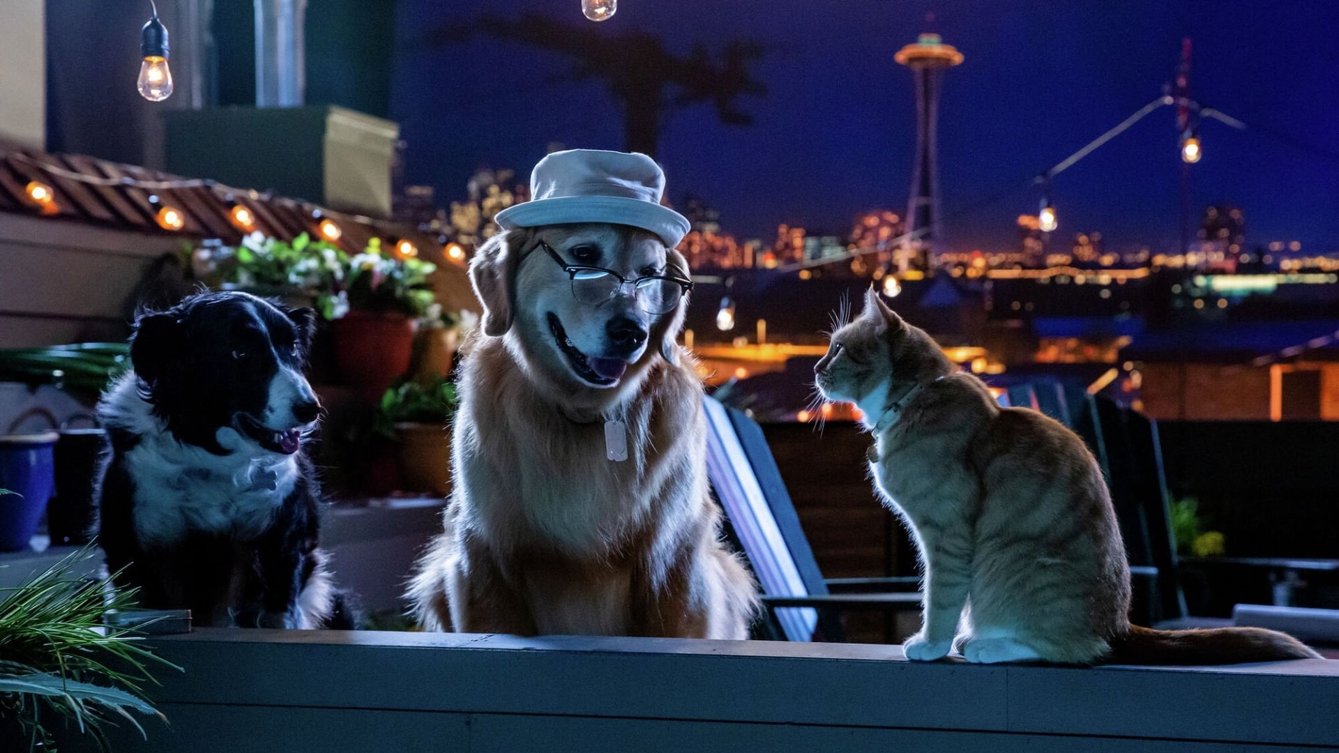 Foto do filme Como Cães e Gatos 3 - Peludos Unidos