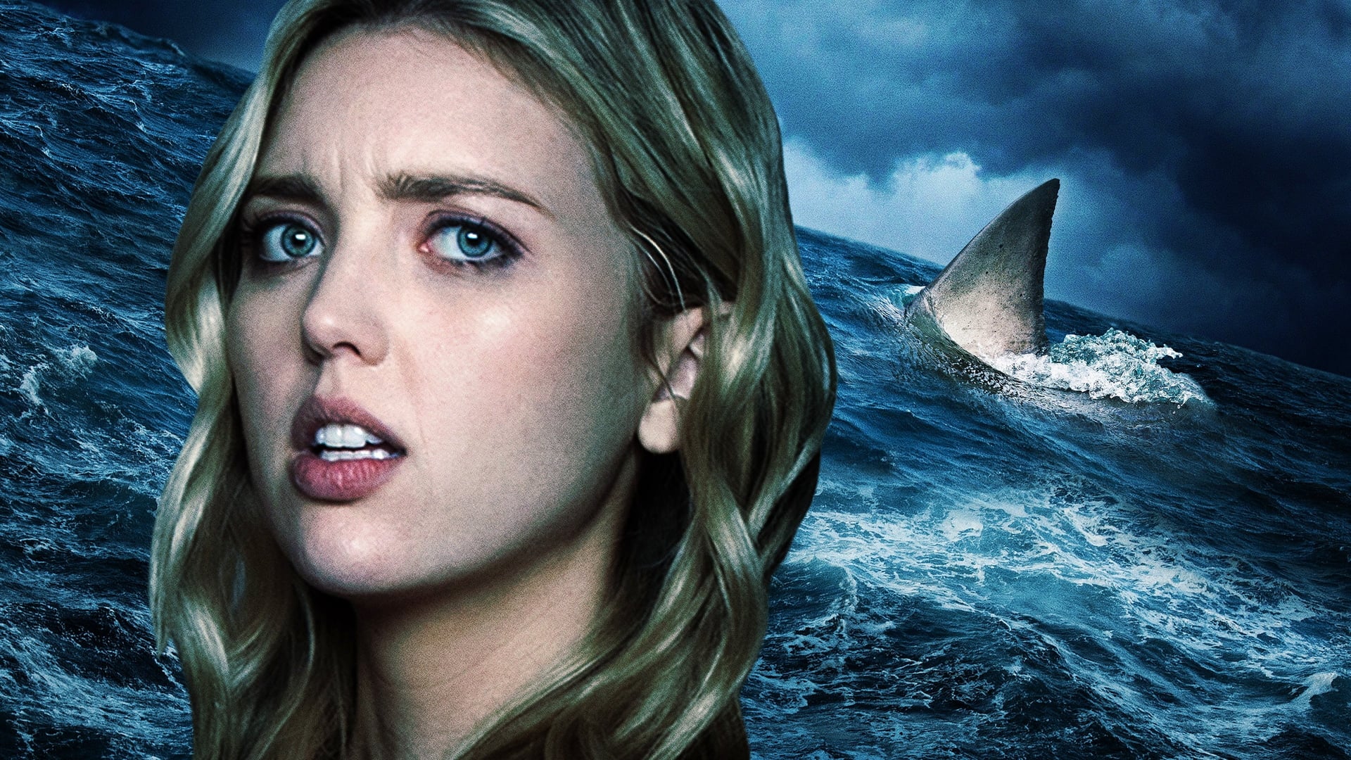 Foto do filme Shark Season