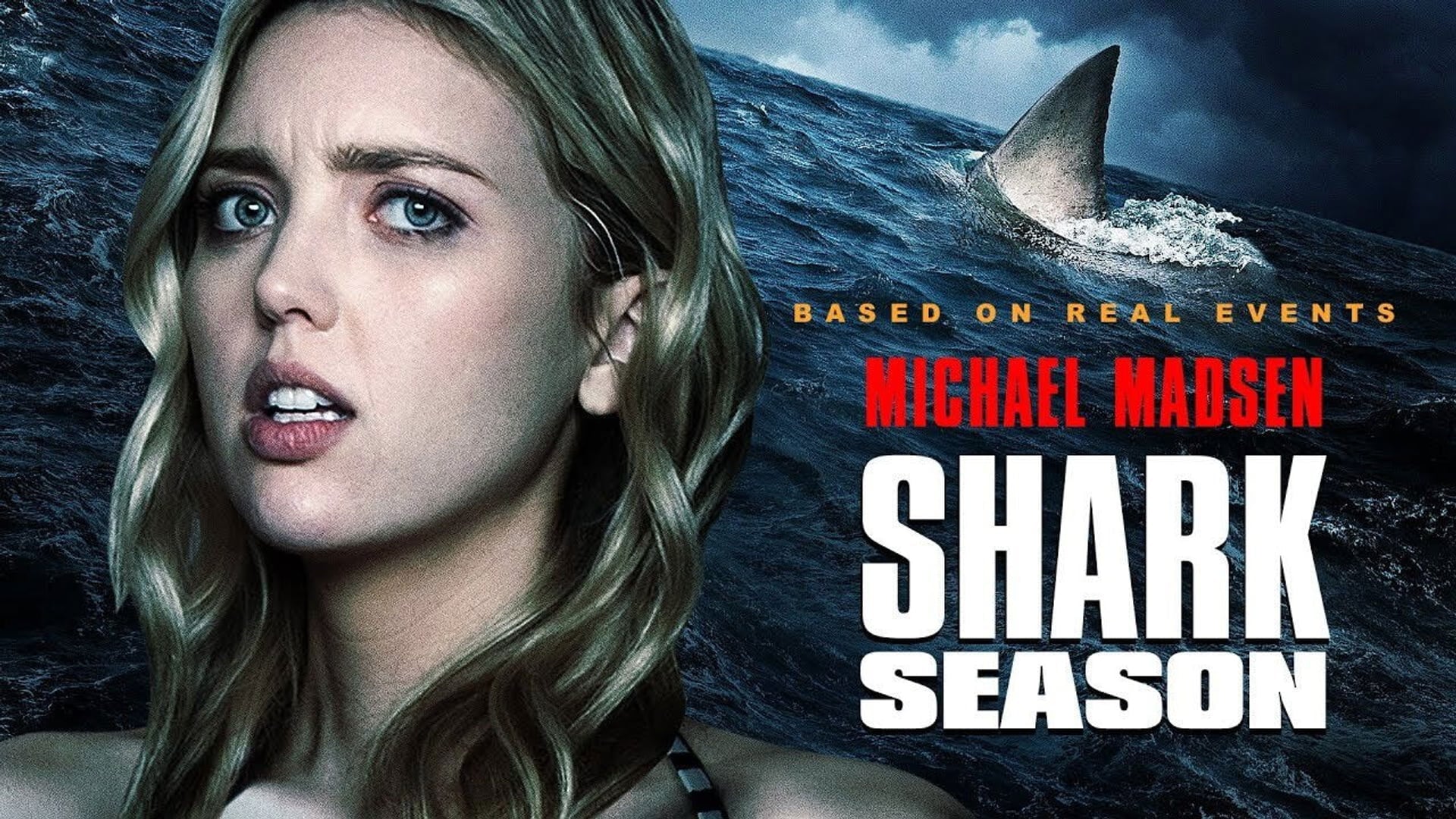 Foto do filme Shark Season