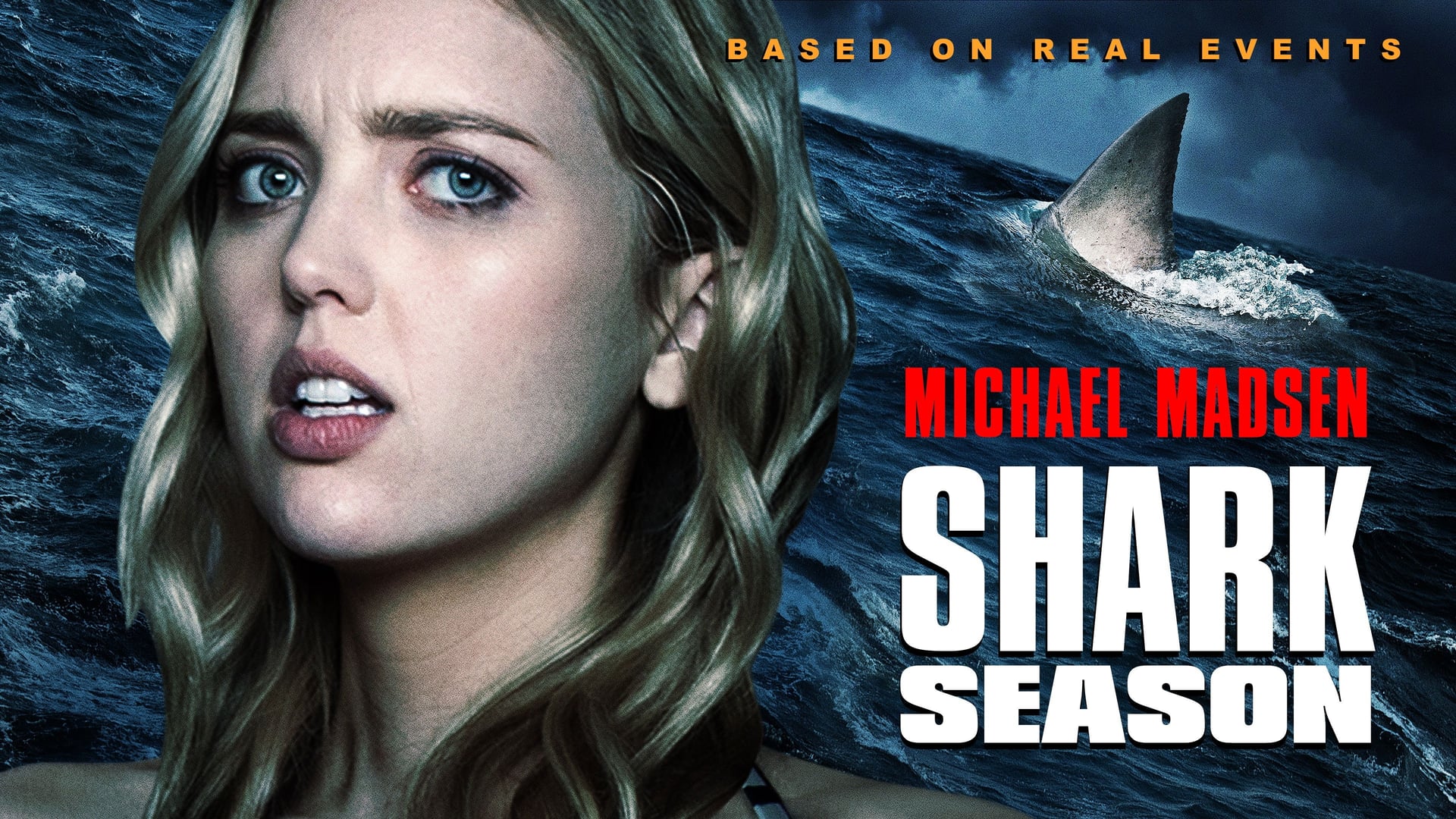 Foto do filme Shark Season
