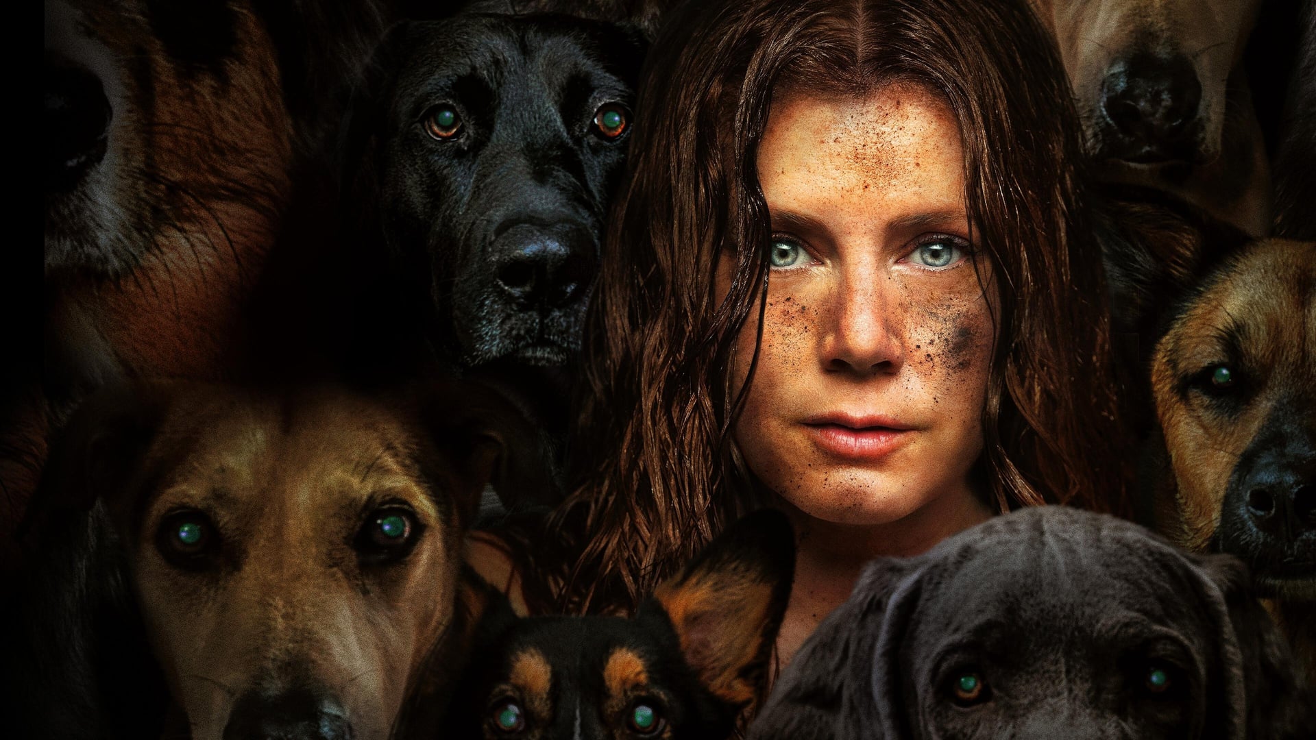 Foto do filme Canina