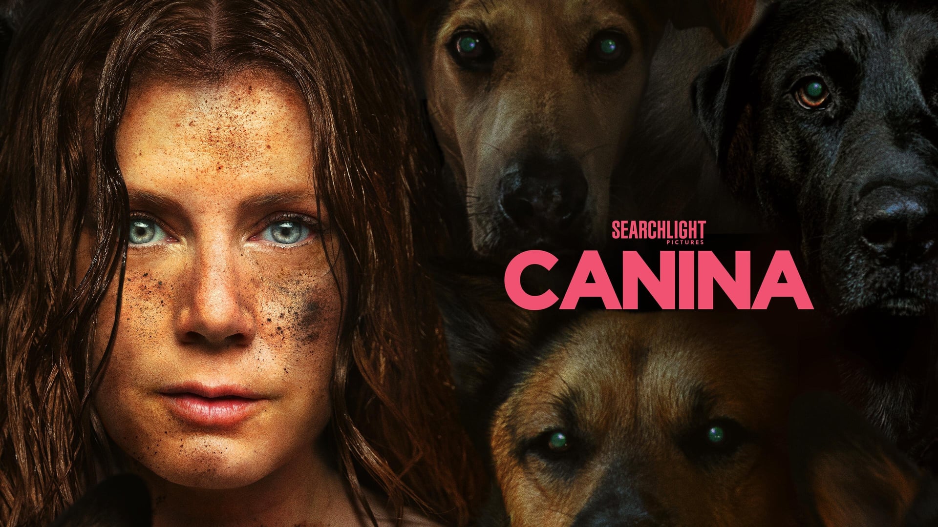Foto do filme Canina