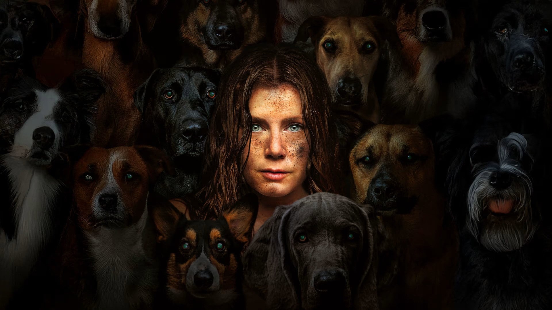 Foto do filme Canina