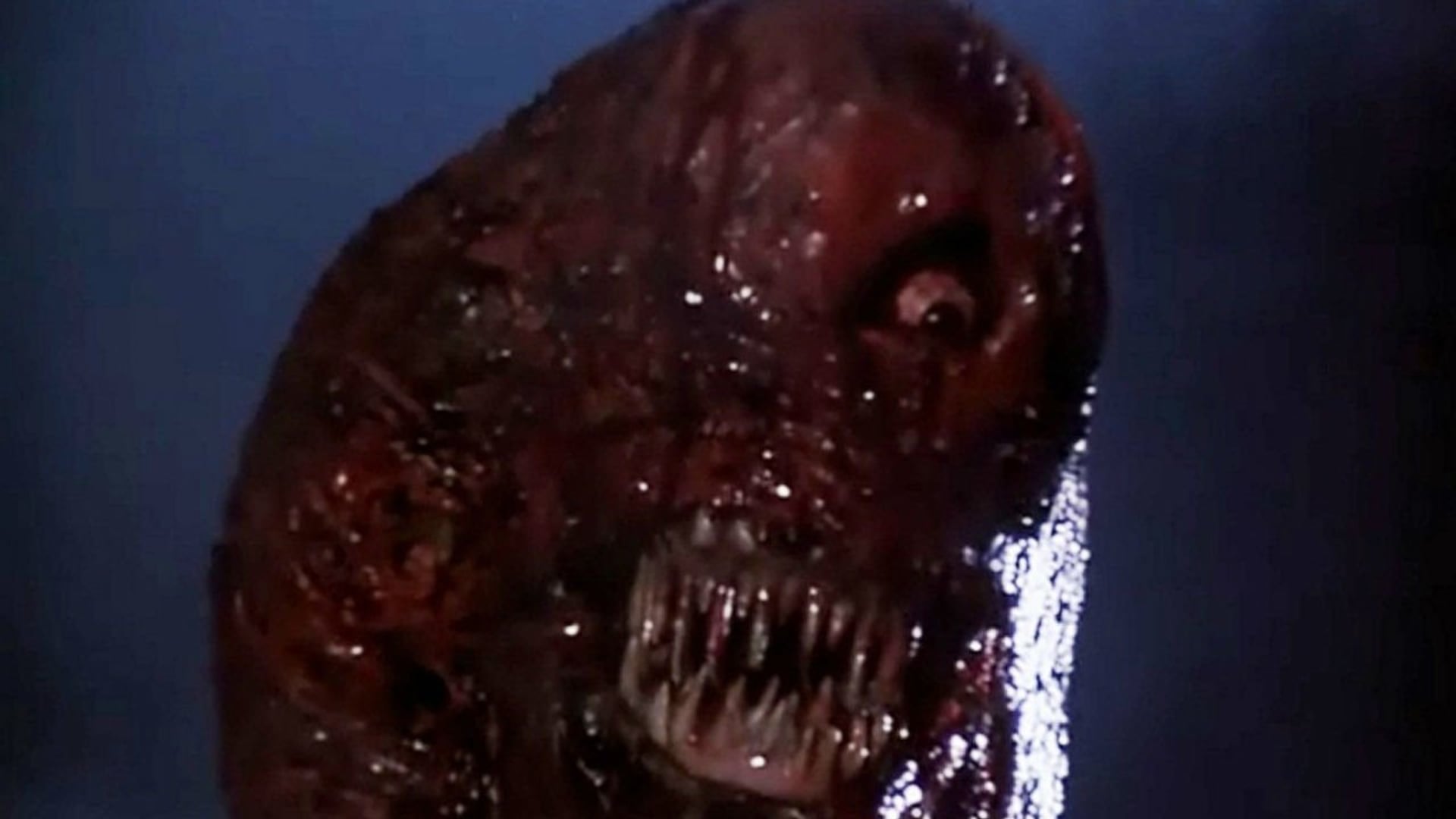 Foto do filme A Noite do Medo