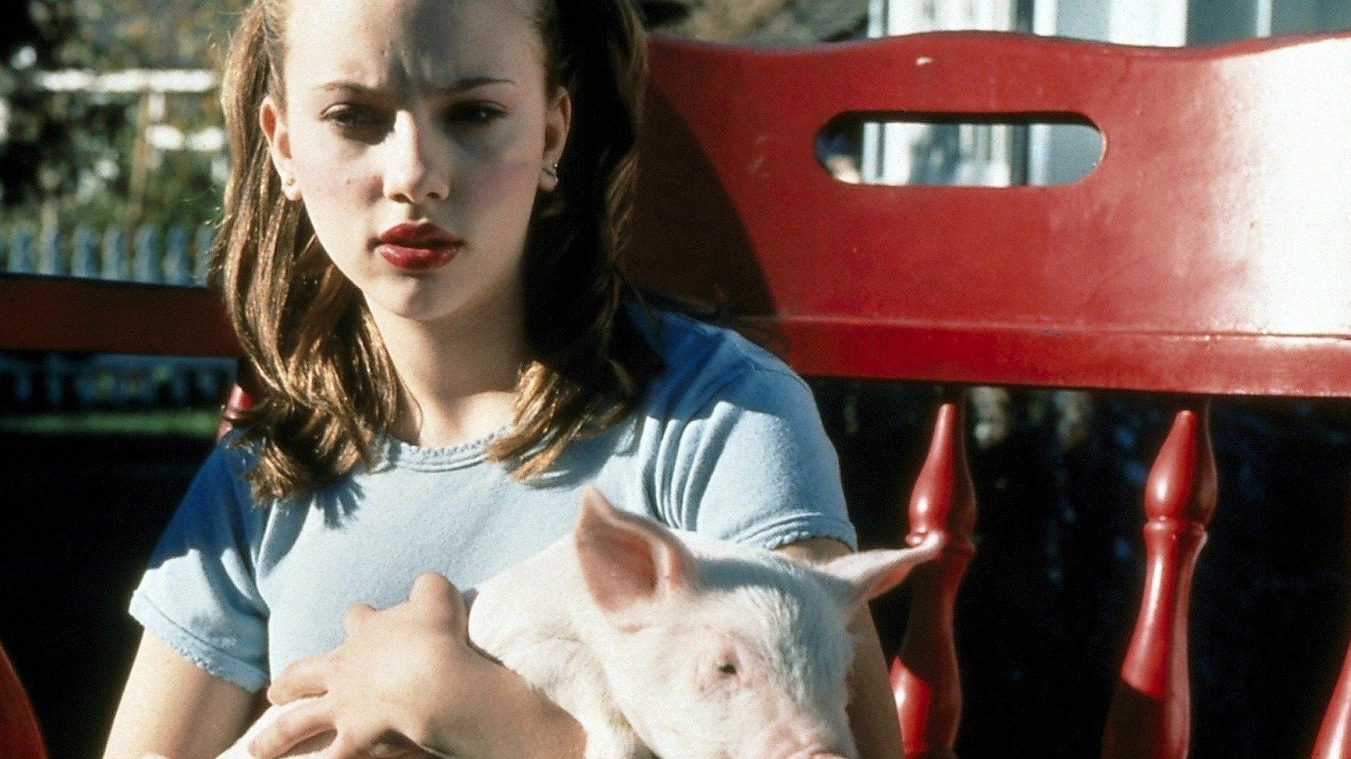 Foto do filme Pig - Uma Aventura Animal
