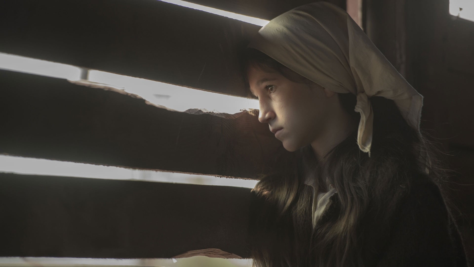 Foto do filme Dara iz Jasenovca
