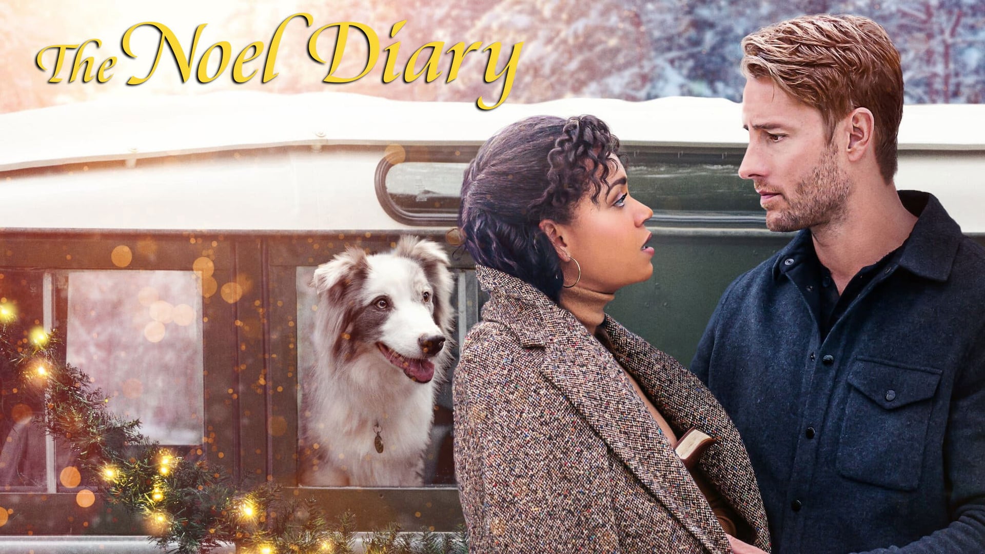 Foto do filme O Diário de Noel