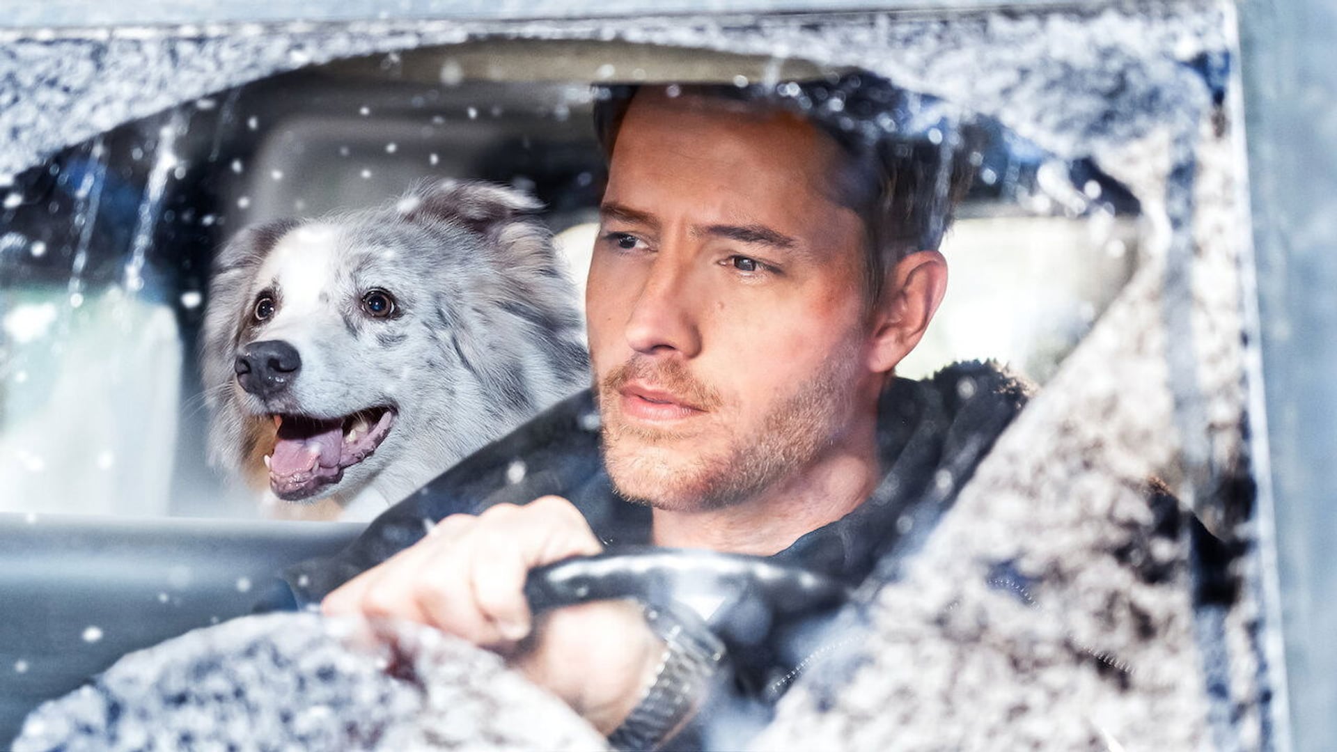 Foto do filme O Diário de Noel